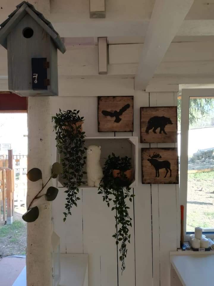 Natuurhuisje in Adenbach