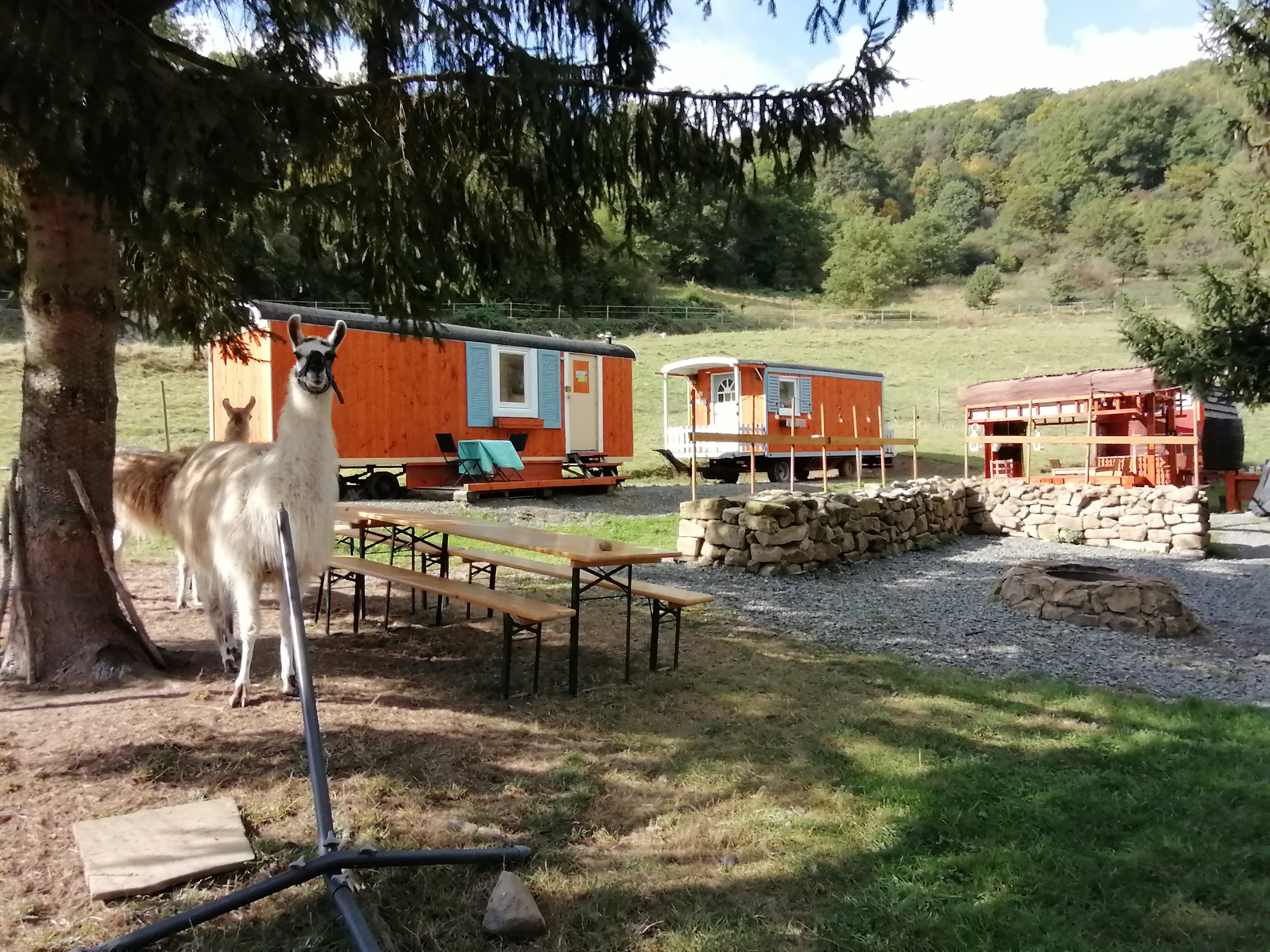 Natuurhuisje in Adenbach