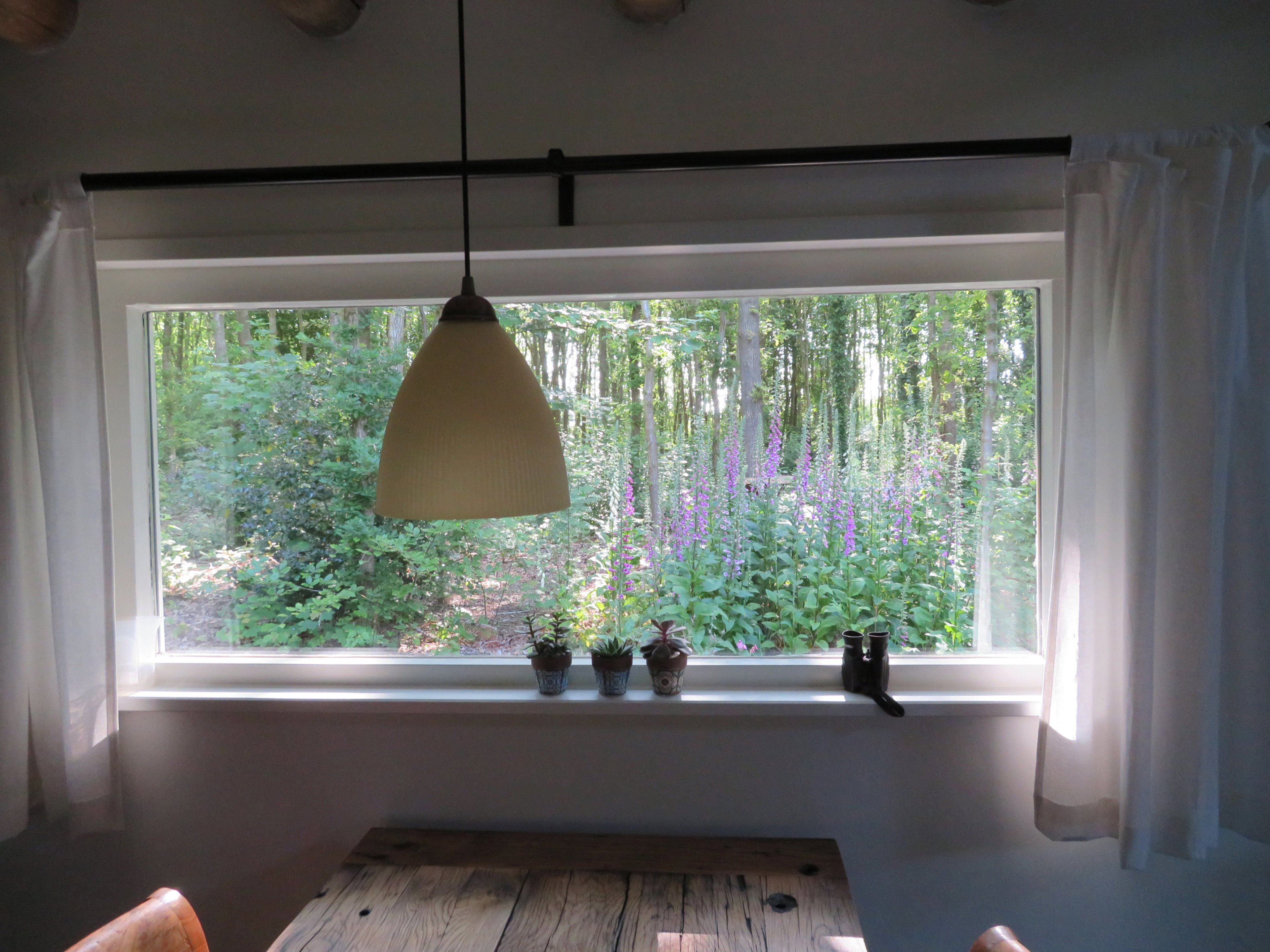 Natuurhuisje in Haulerwijk