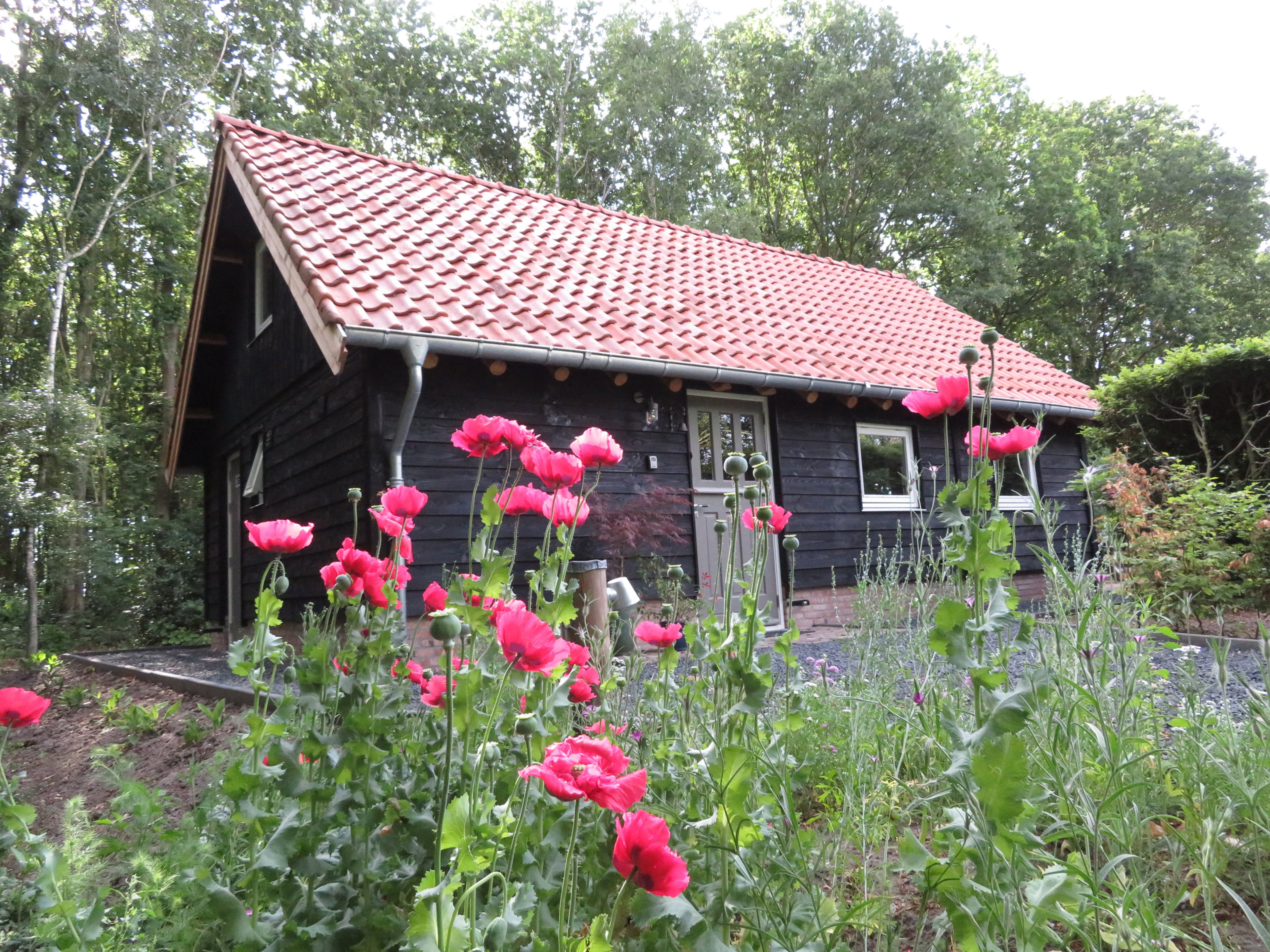 Natuurhuisje in Haulerwijk
