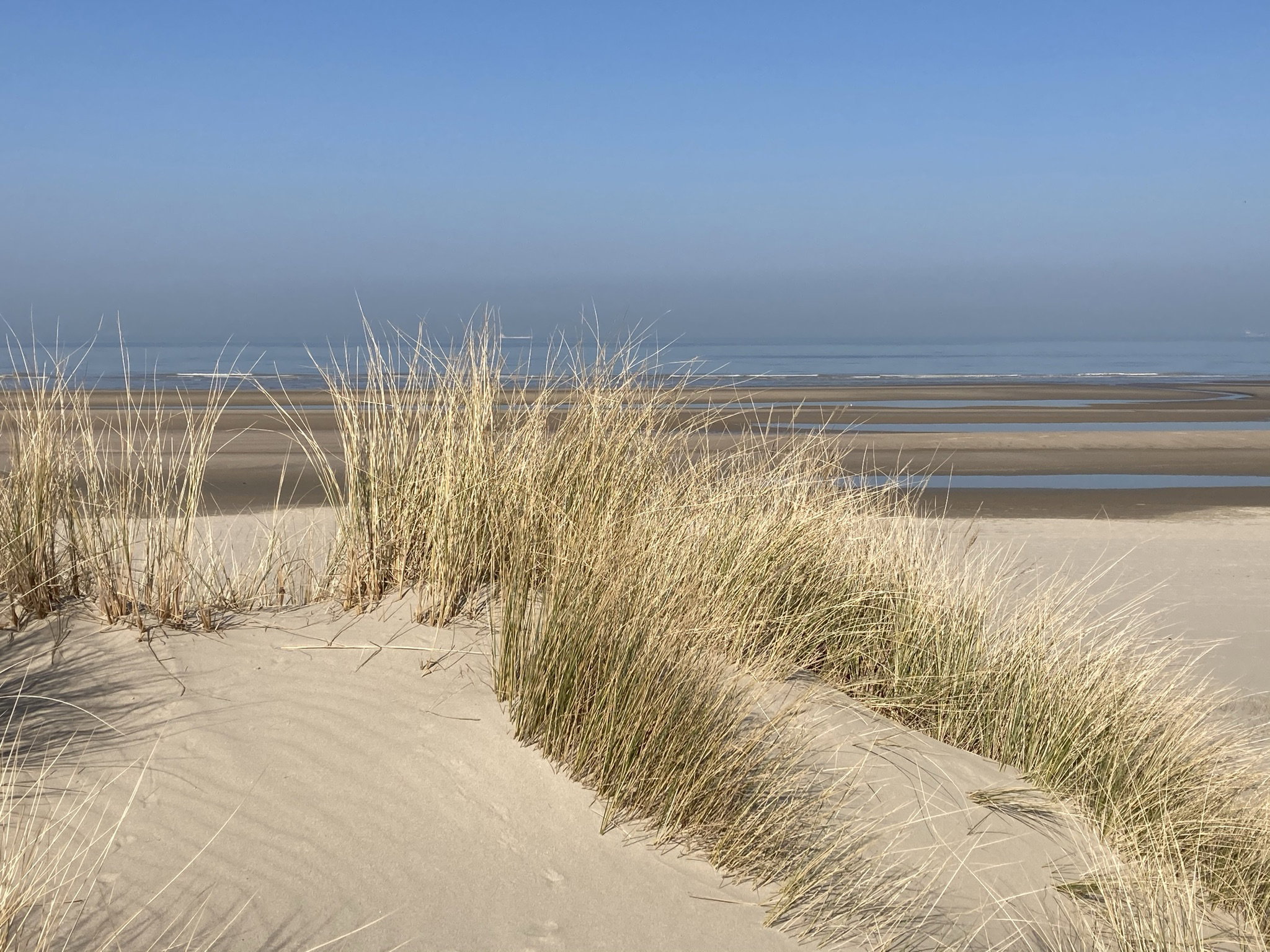 Natuurhuisje in Blankenberge