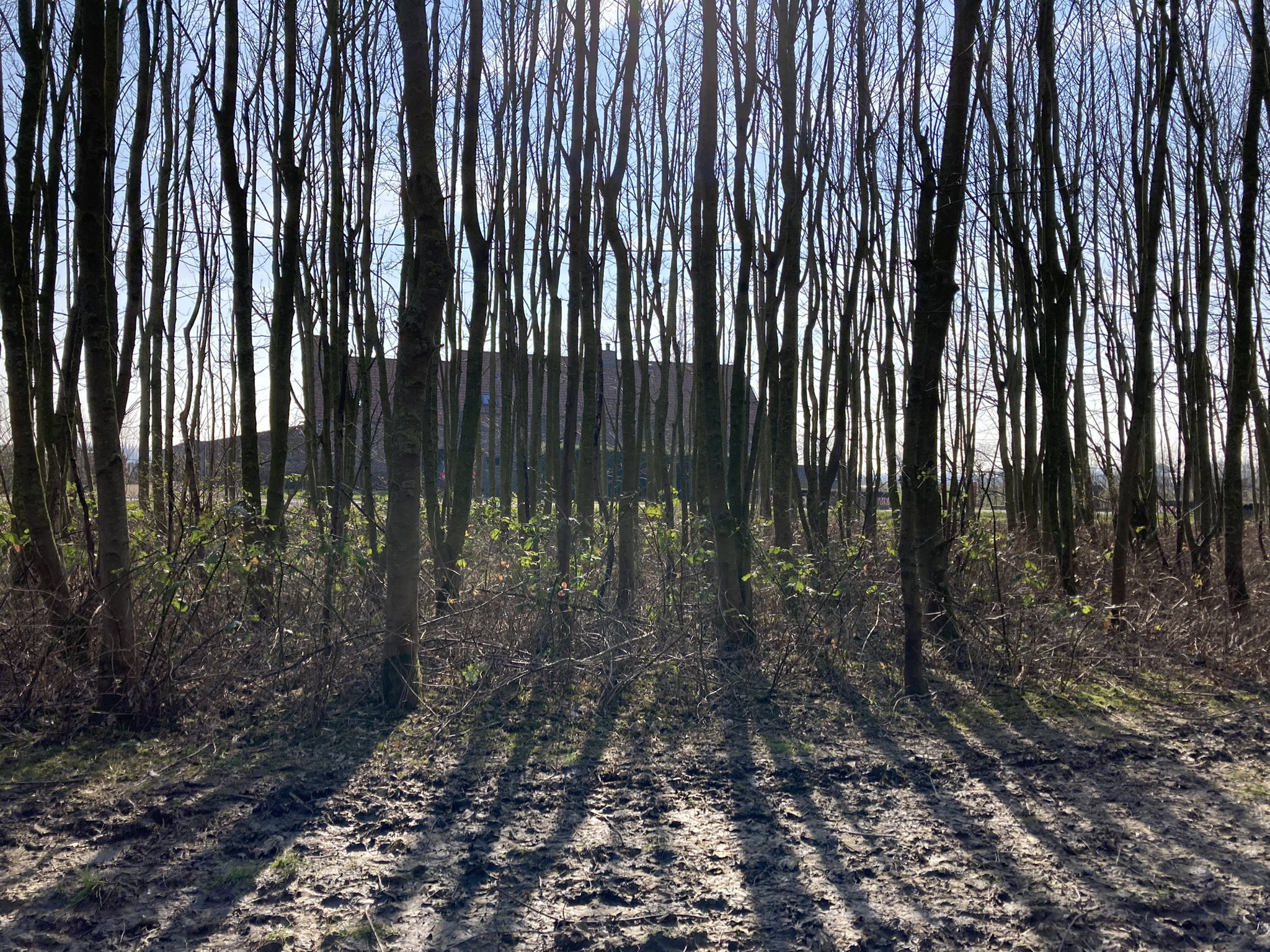 Natuurhuisje in Blankenberge