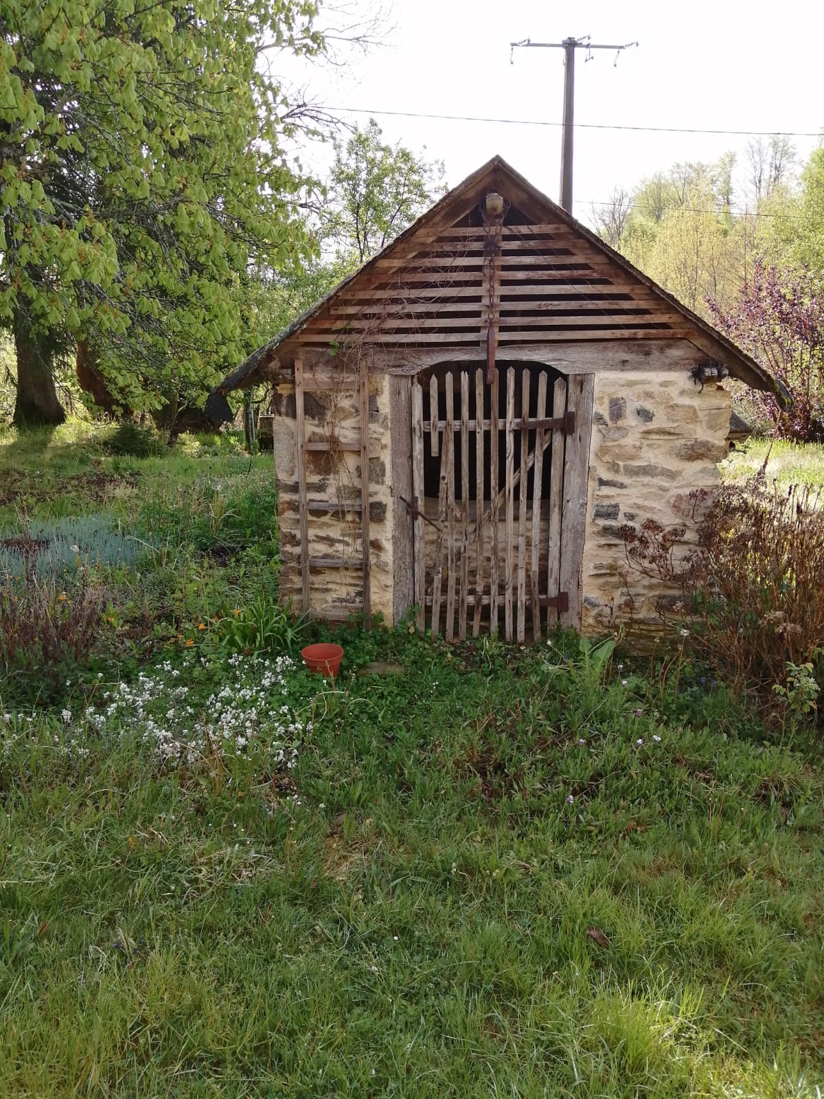 - image: 14