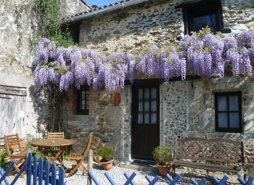 - image: 1
