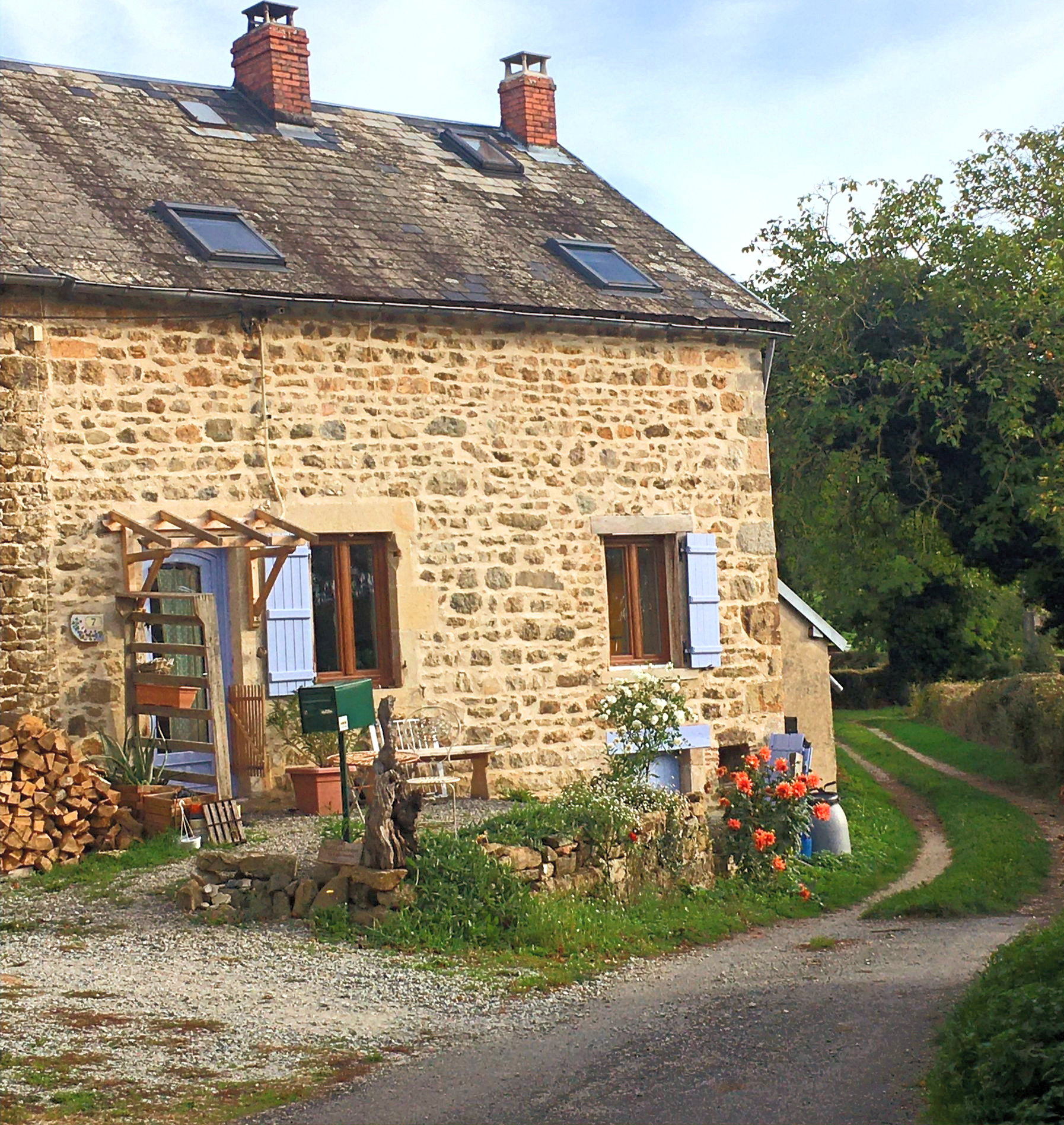 - image: 1