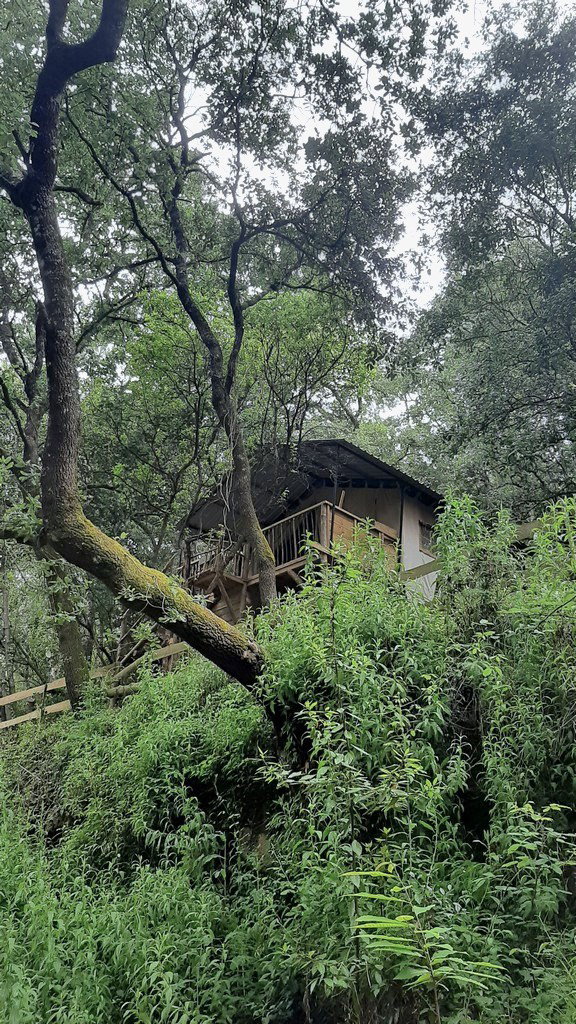 Nature house in Vimeiro