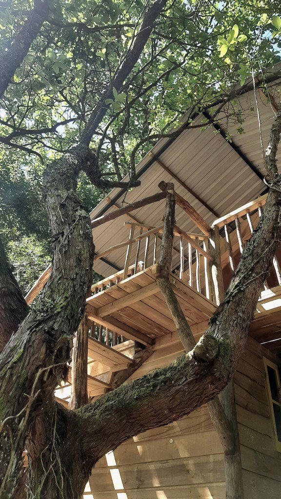Nature house in Vimeiro
