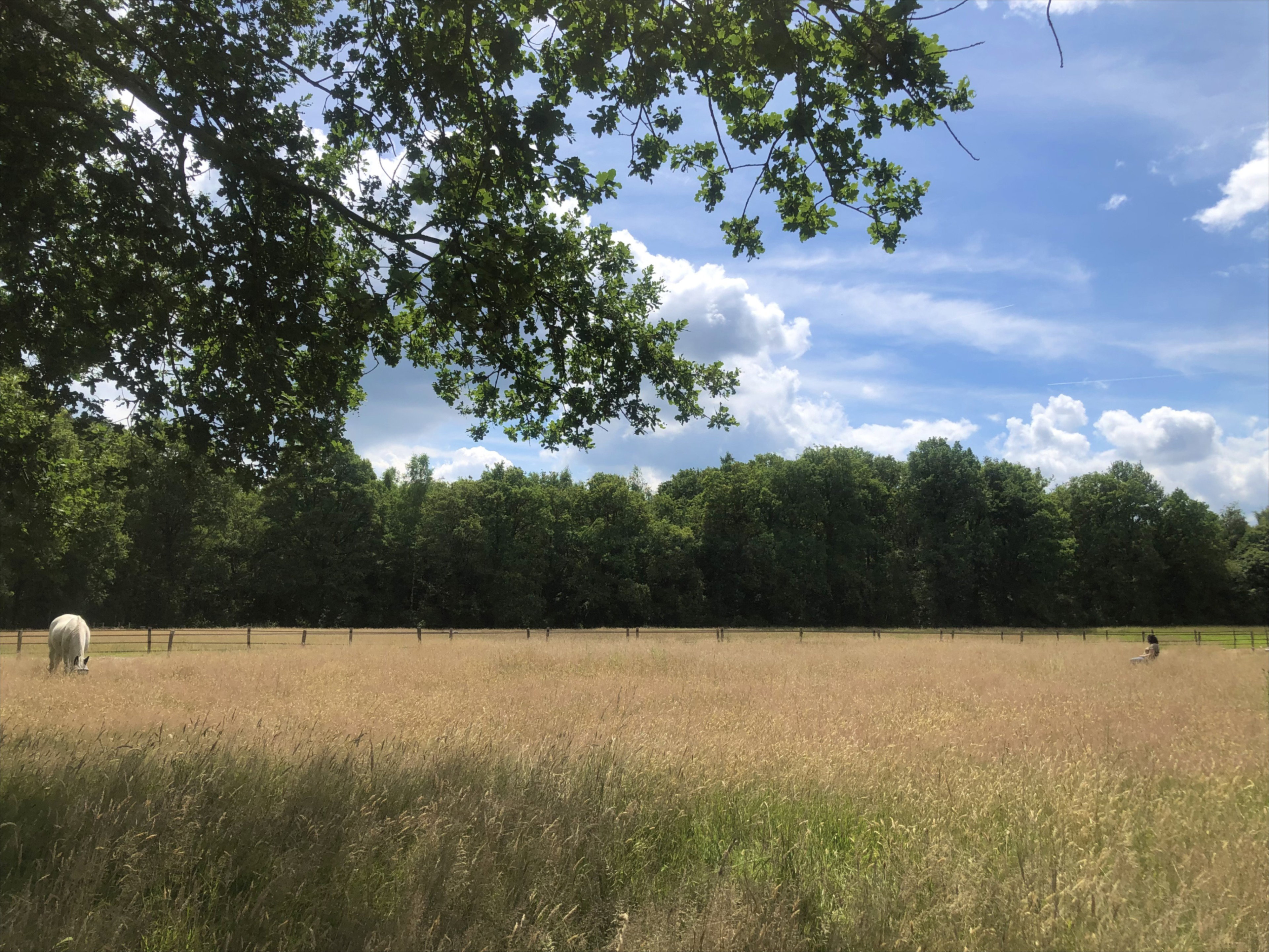 Naturhäuschen in Oelegem