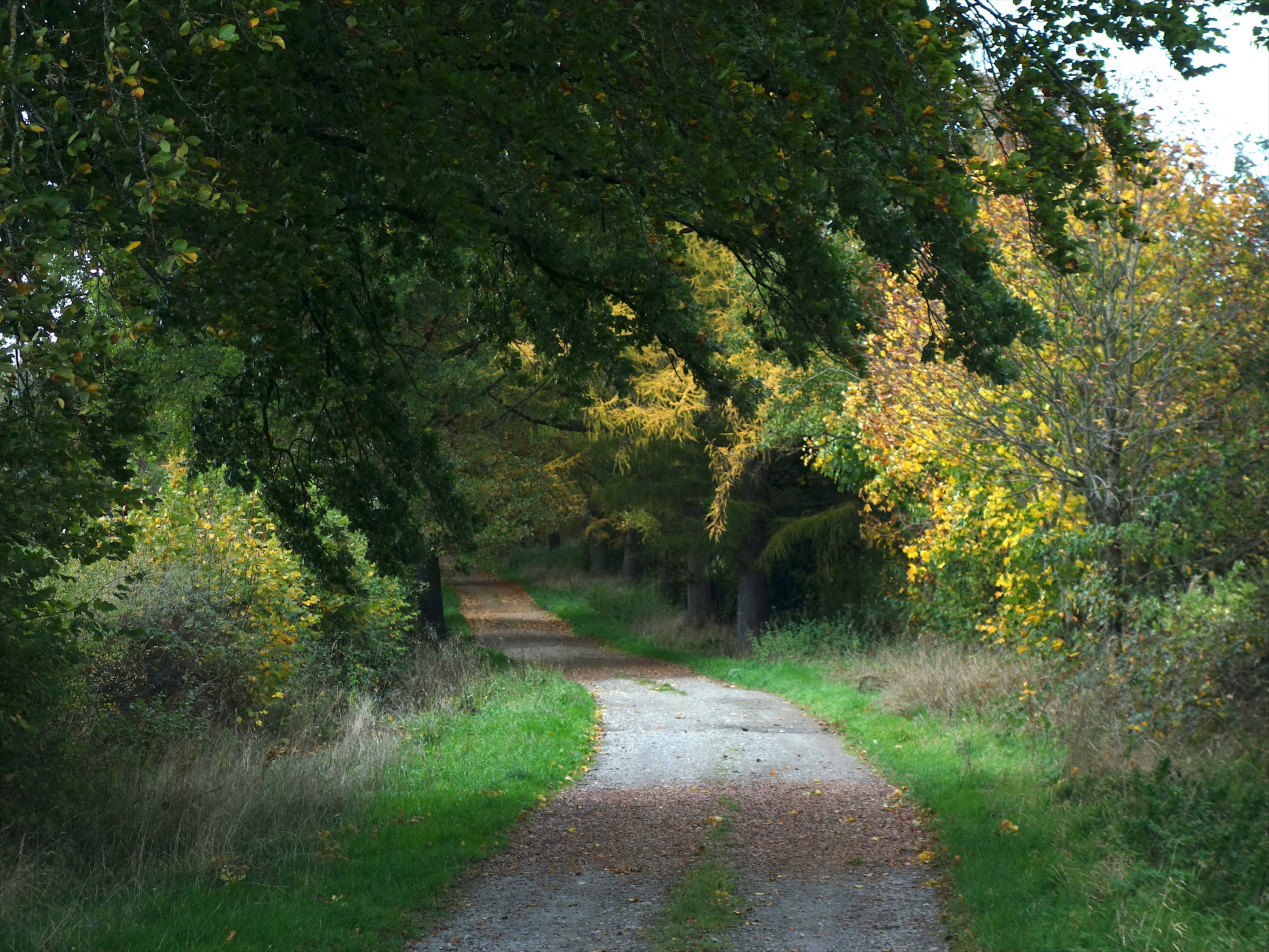 Natuurhuisje in Grand-Halleux