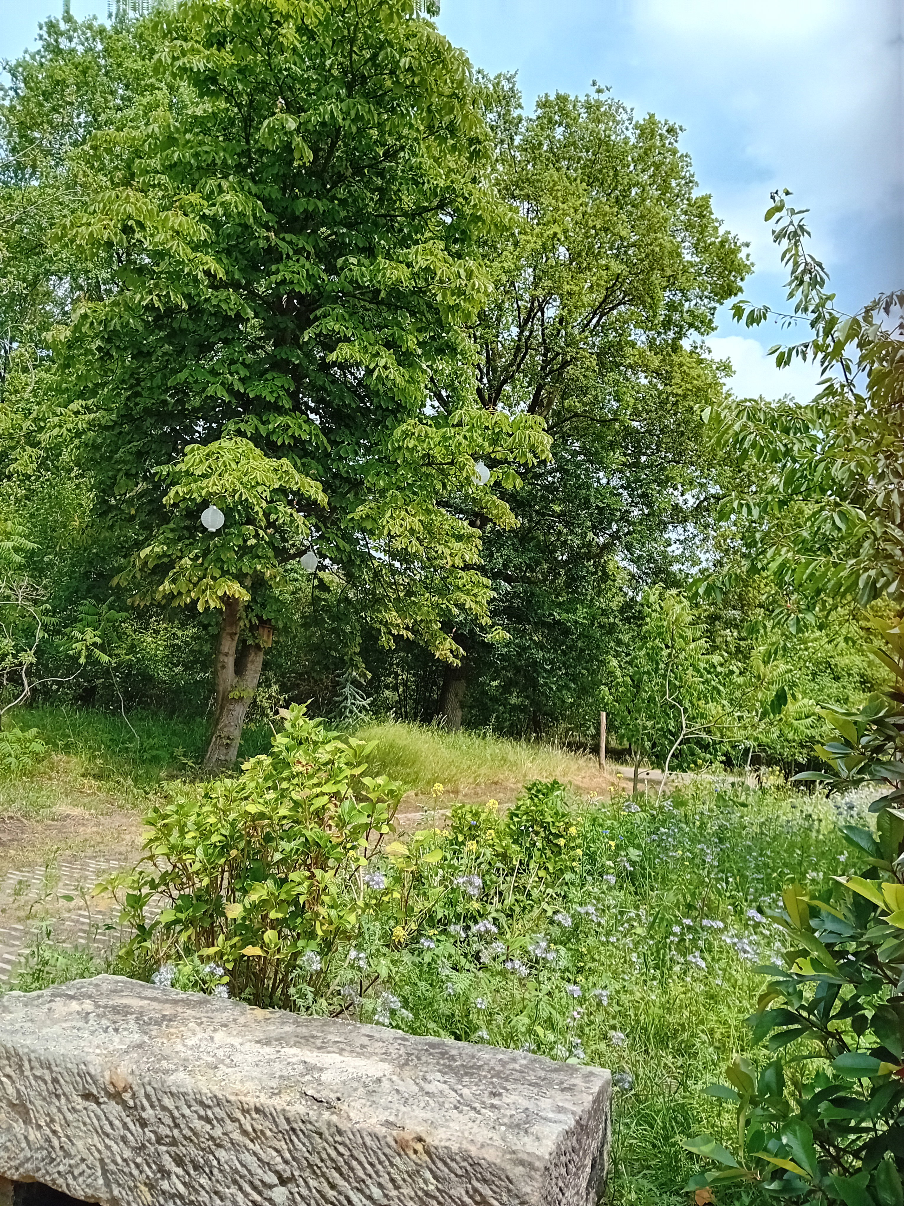 Naturhäuschen in de Lutte