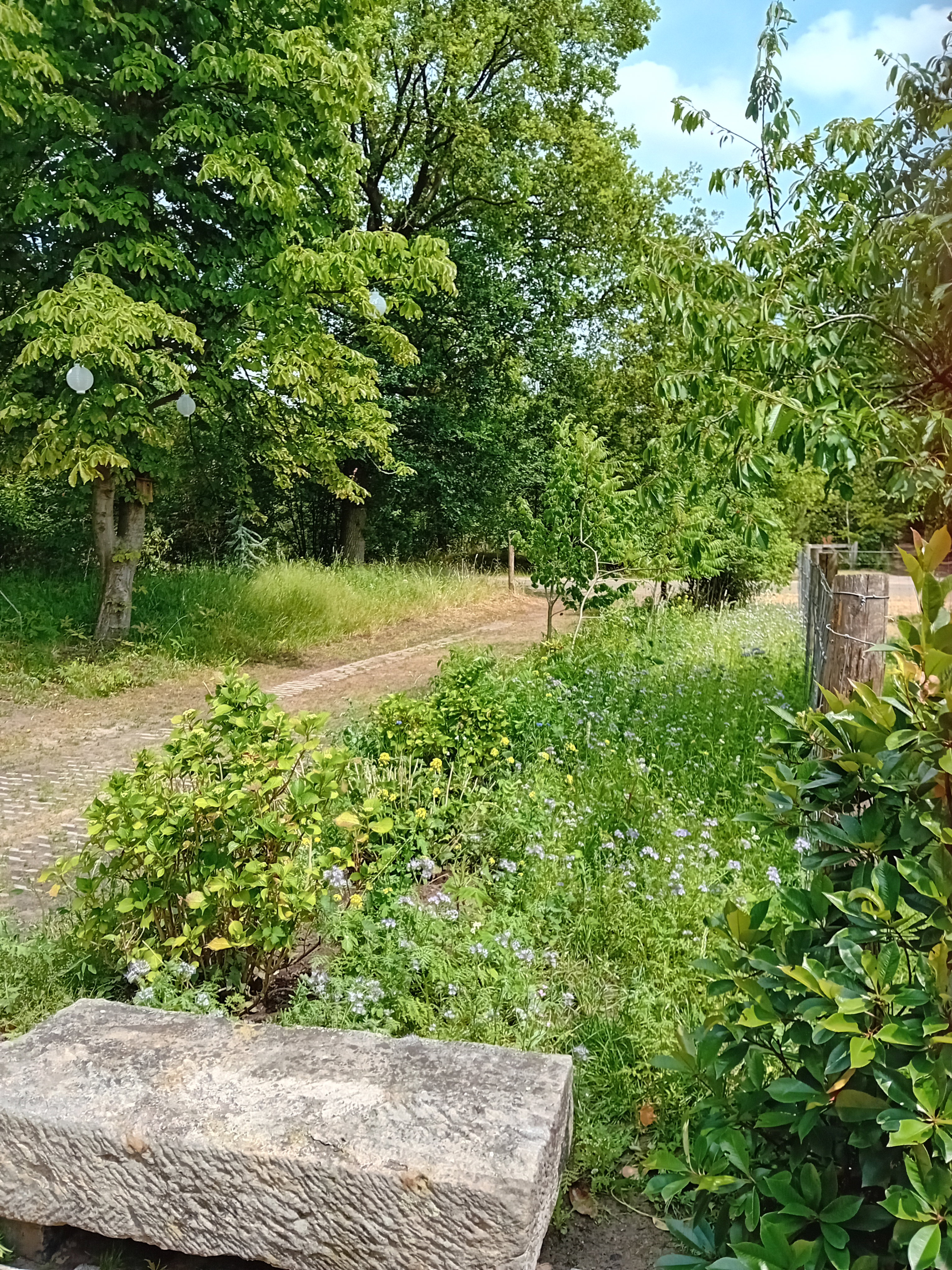 - image: 11