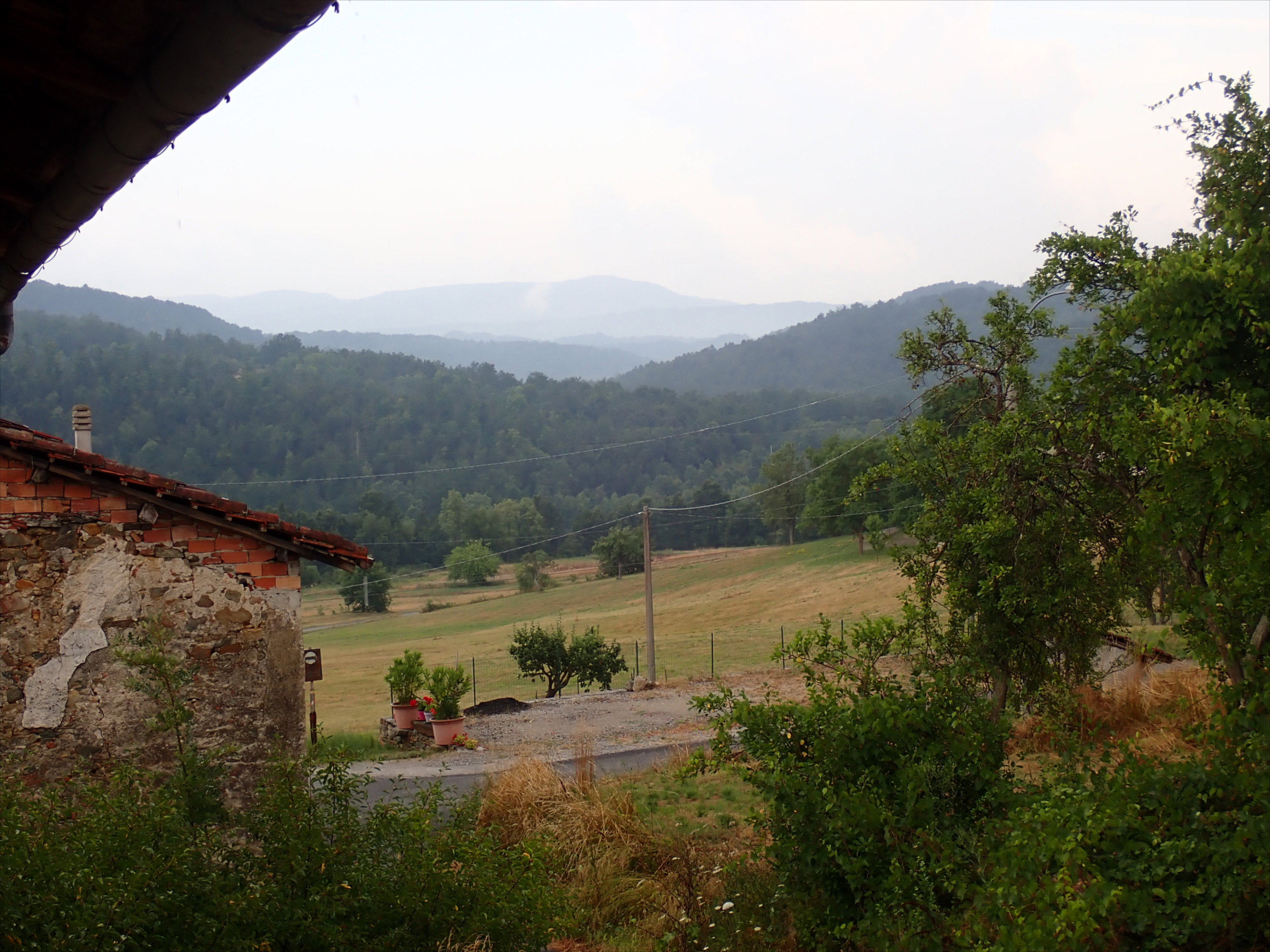 - image: 24