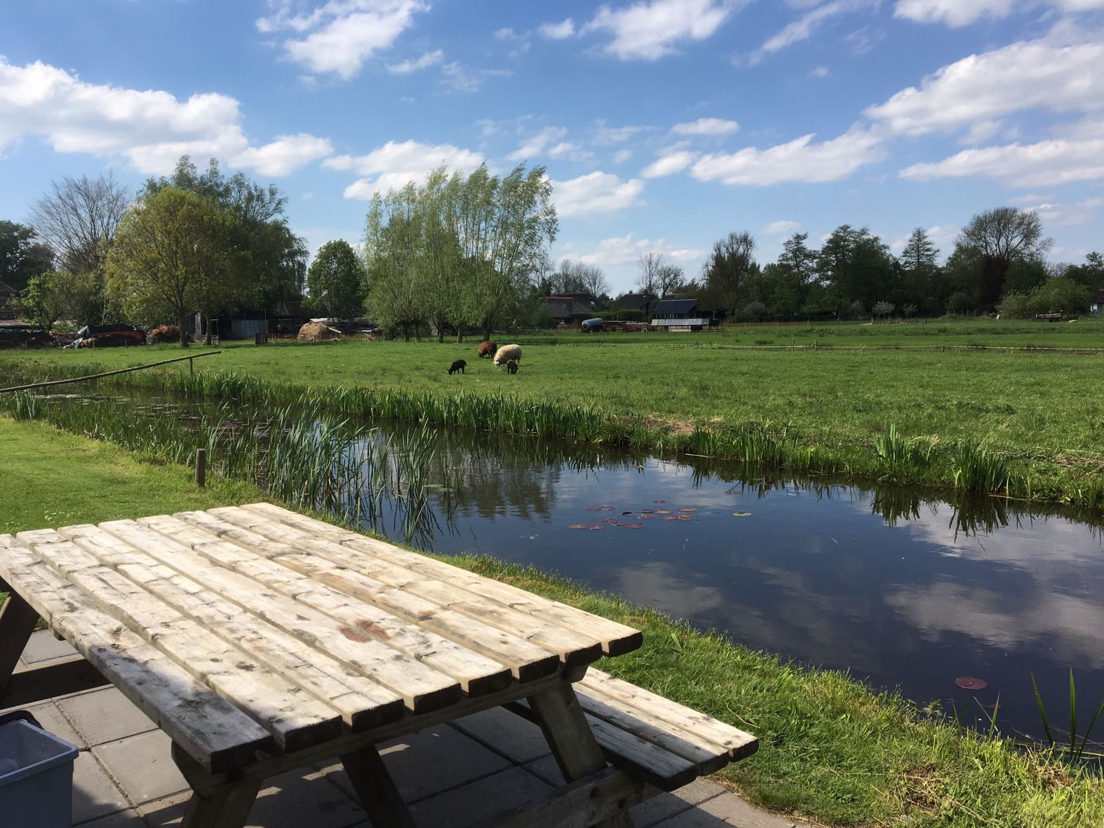 Natuurhuisje in Giethoorn