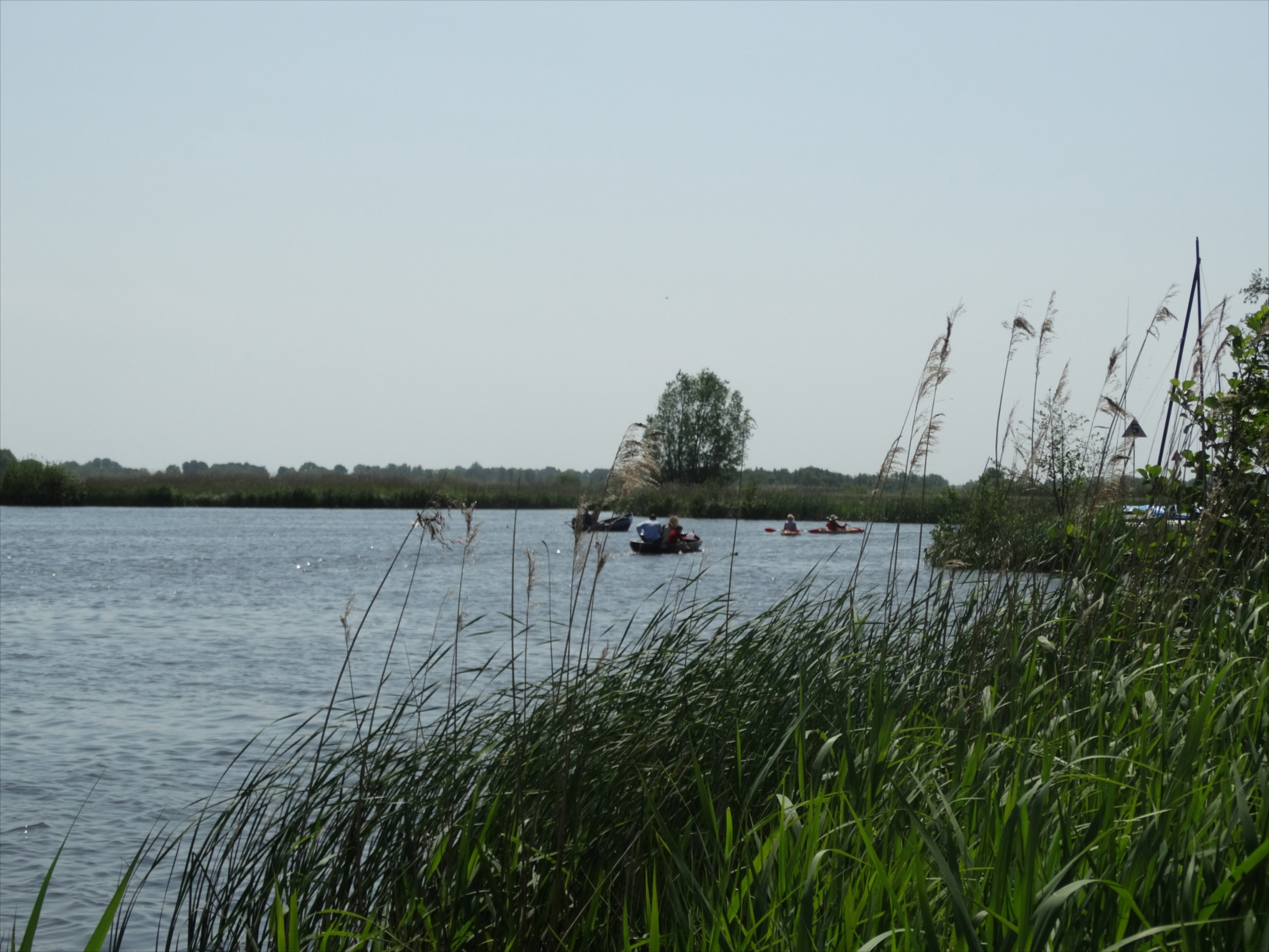 - image: 15