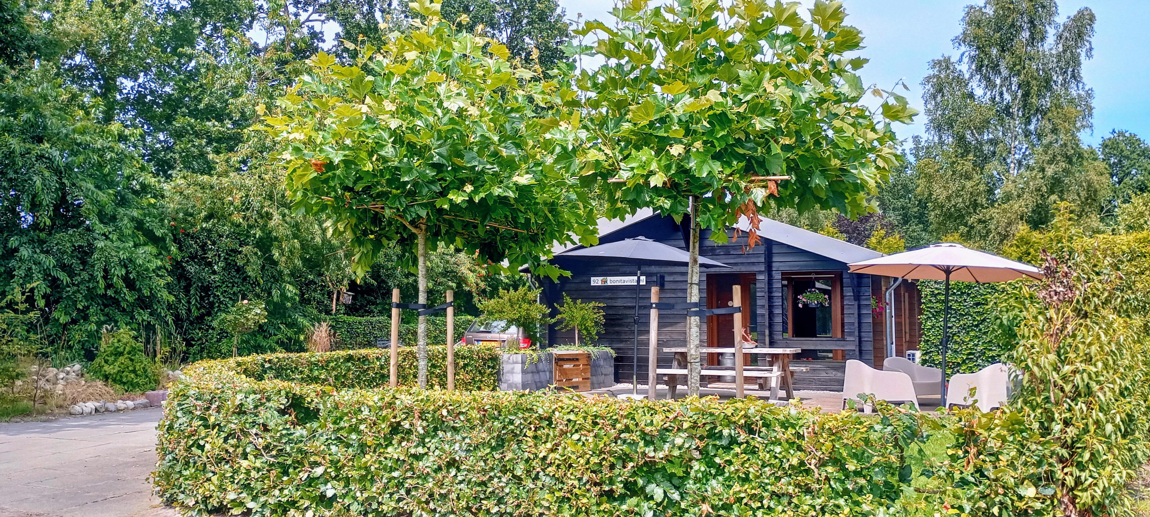 Nature house in Rheezerveen