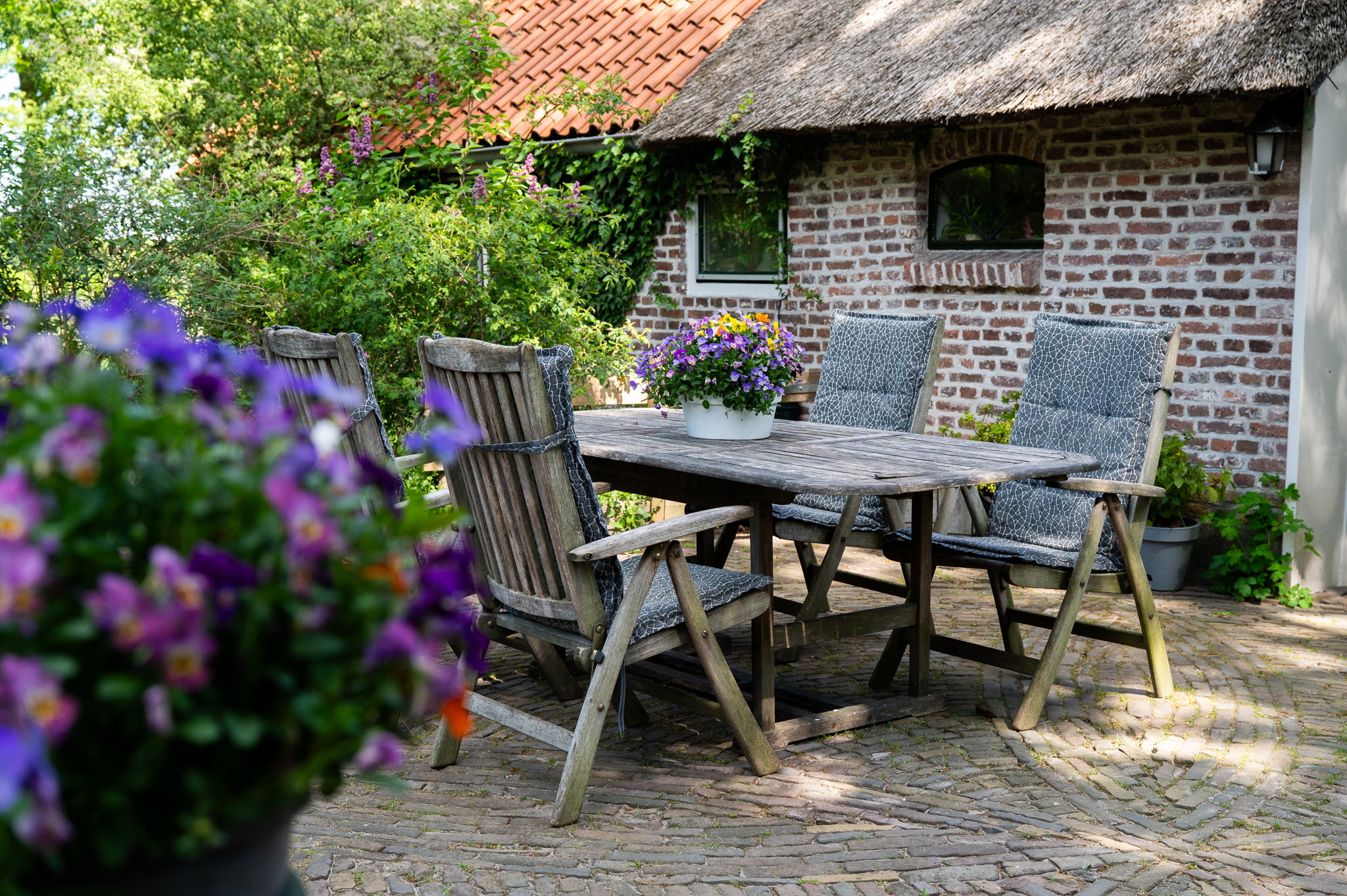 Casa nella natura a Wateren (Westerveld)
