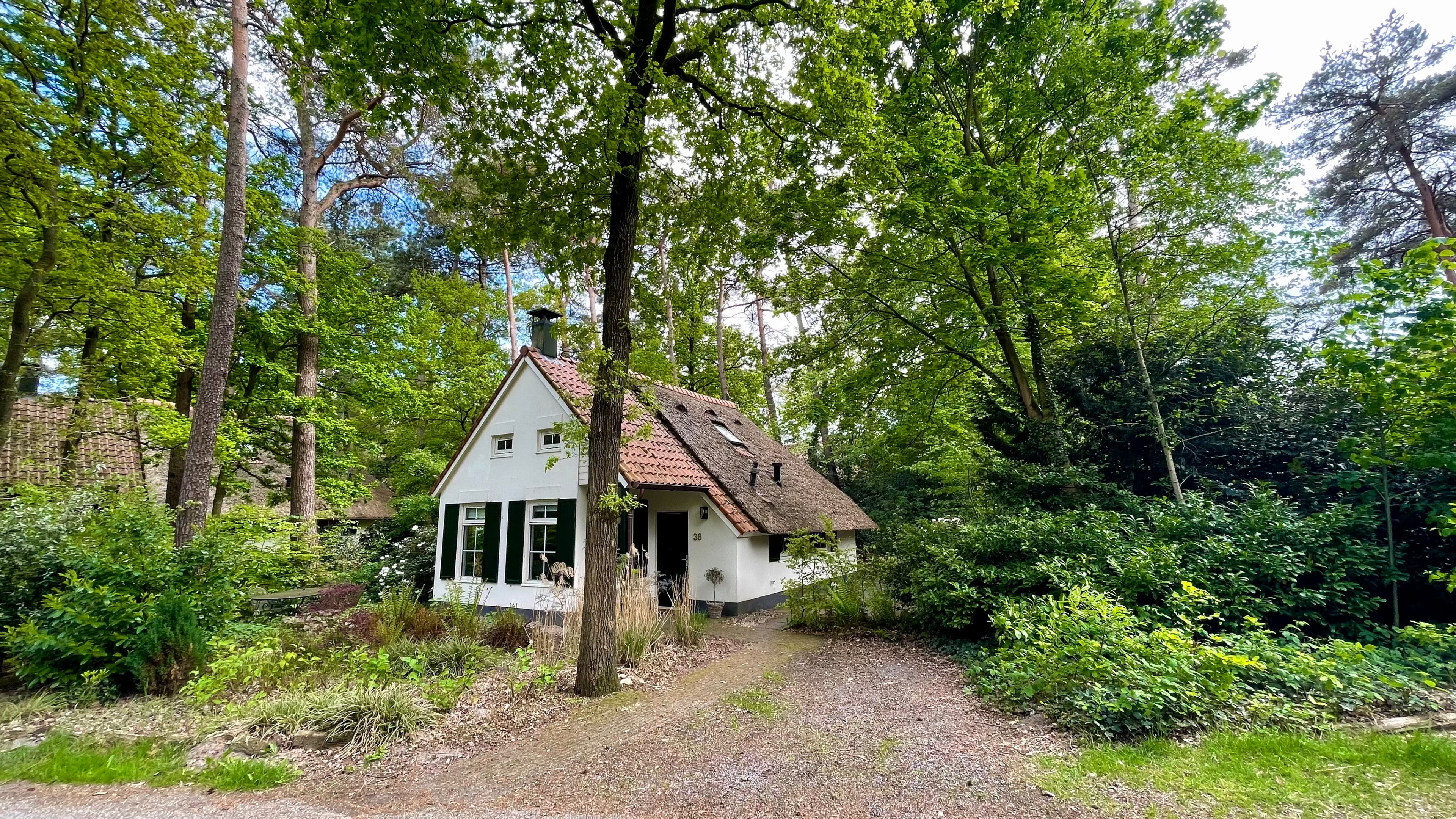 Casa nella natura a IJhorst