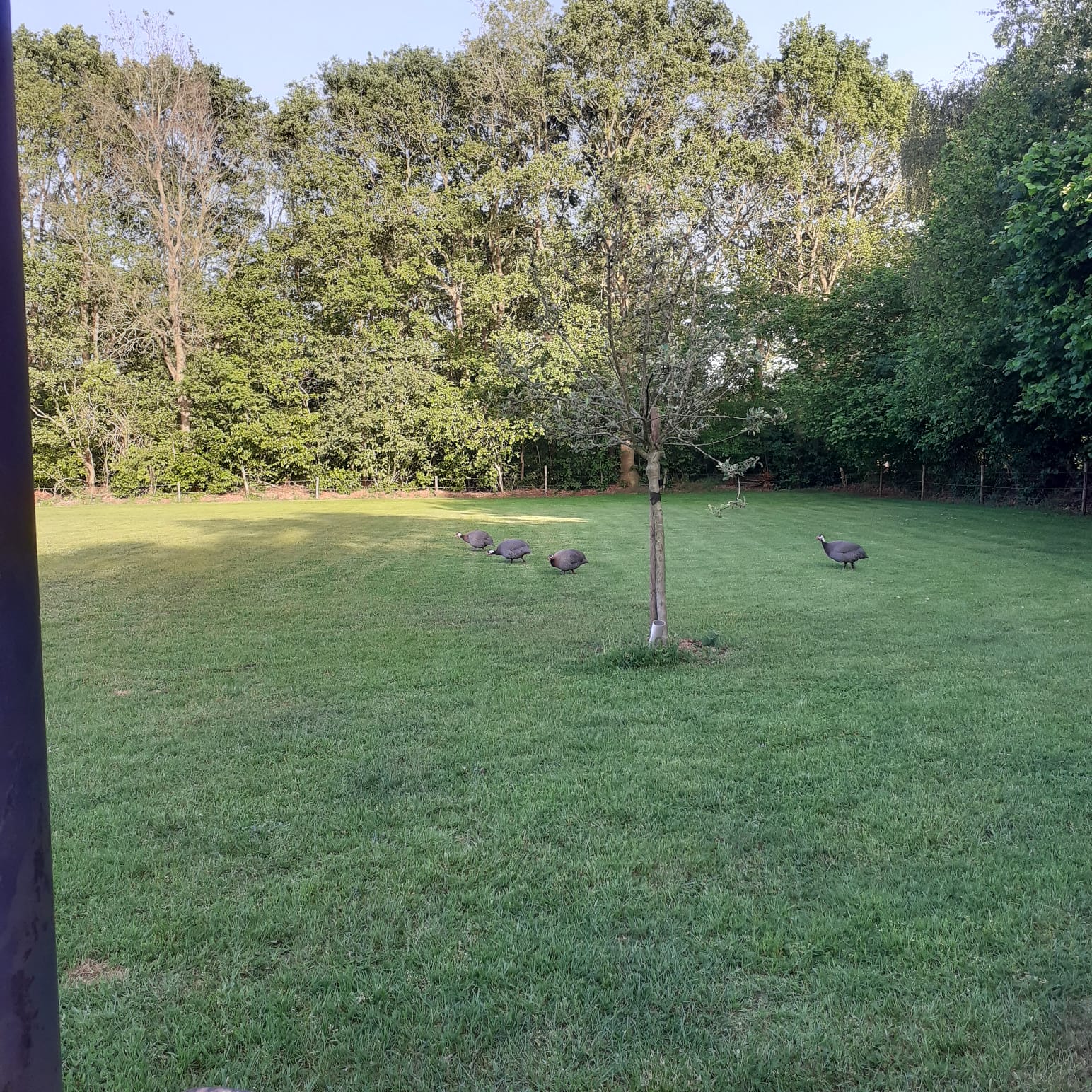 Natuurhuisje in Balkbrug