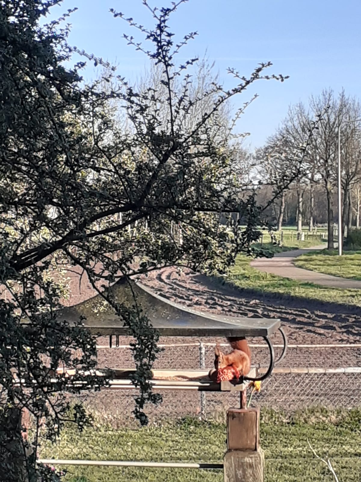 Natuurhuisje in Balkbrug