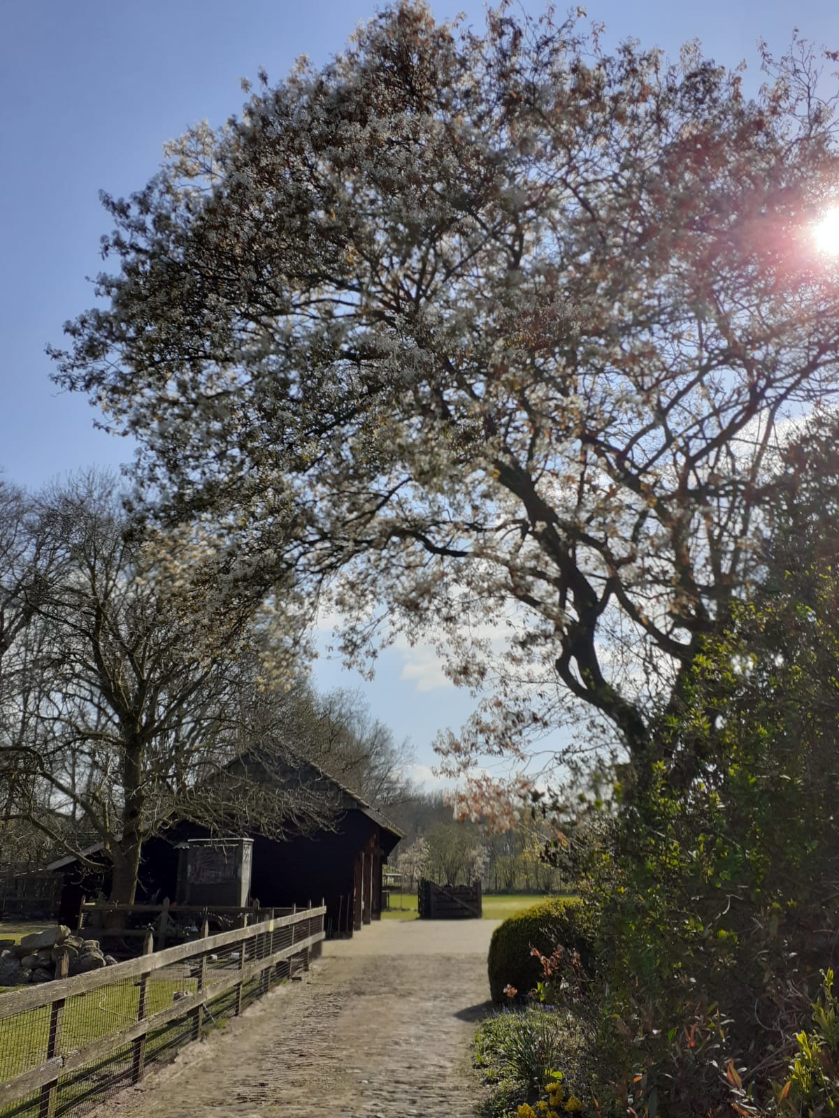 Natuurhuisje in Balkbrug
