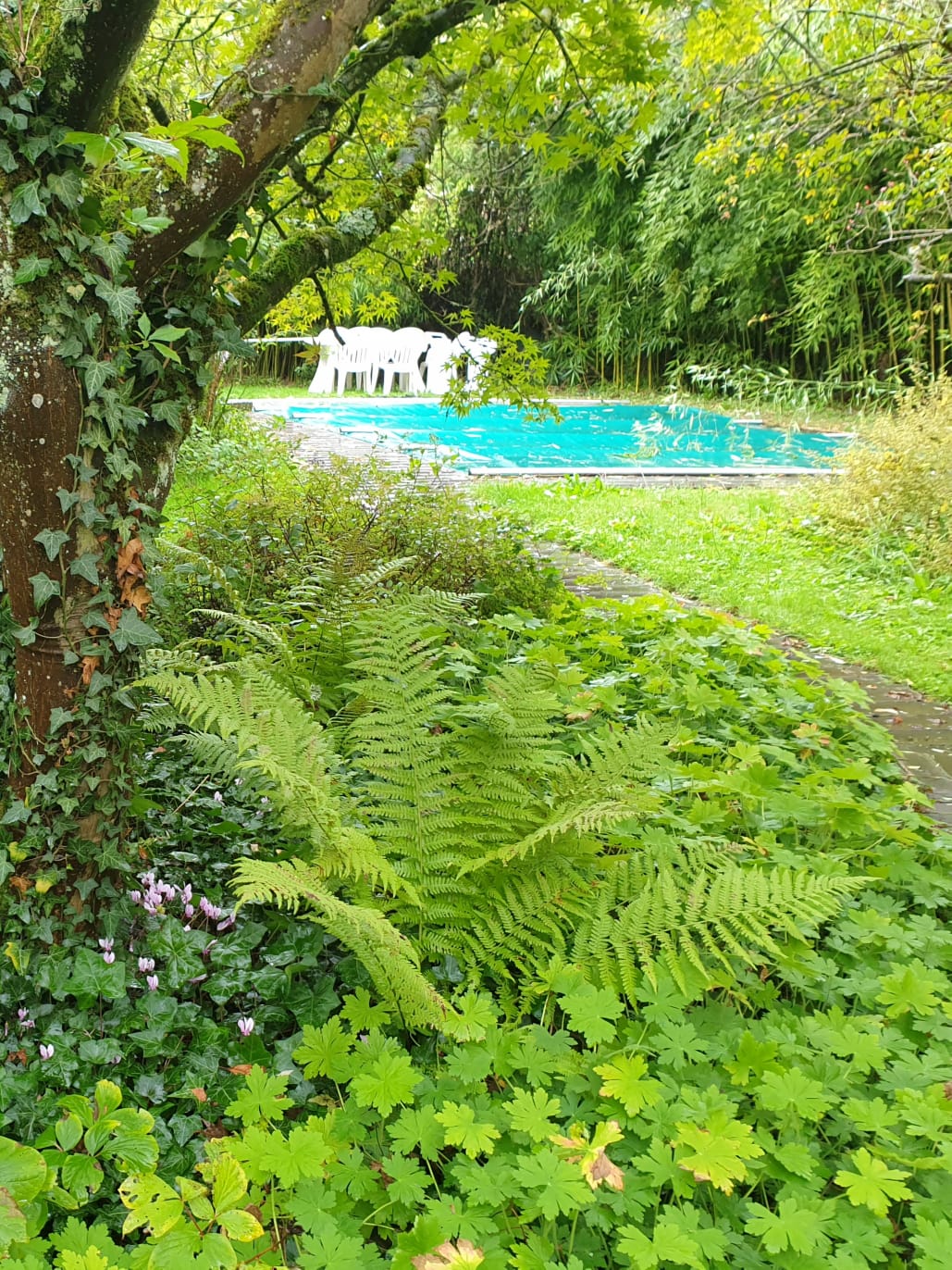 Natuurhuisje in Malay le grand