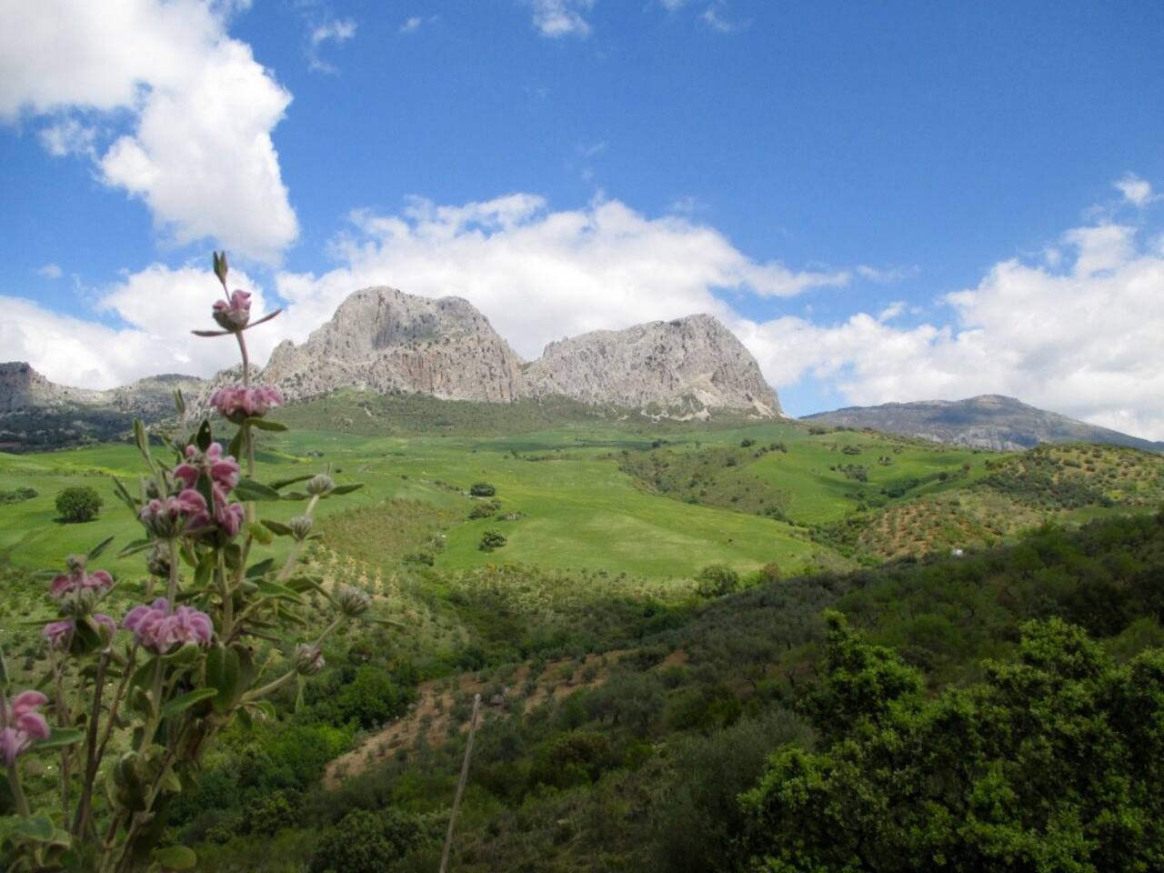 - image: 26