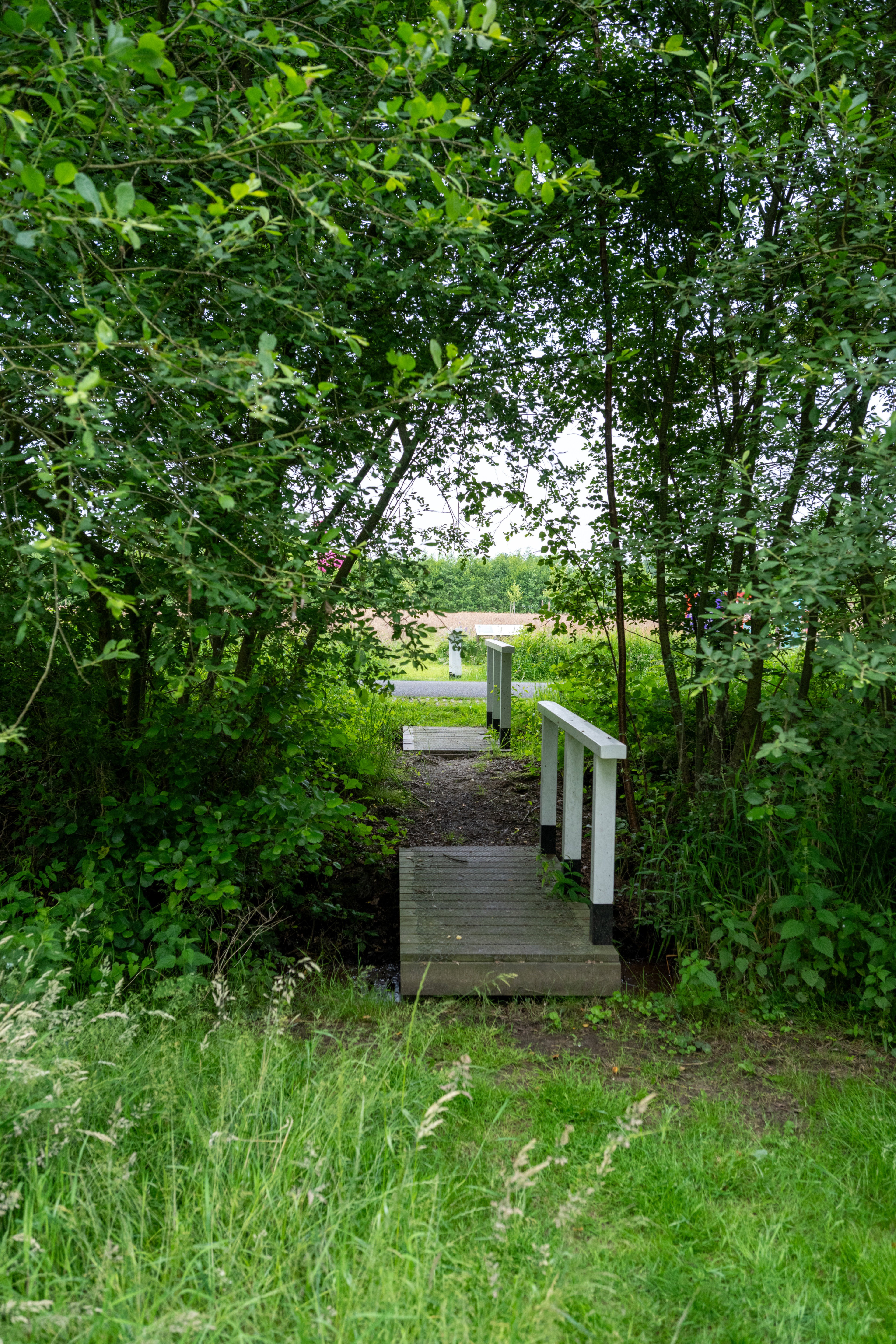 Naturhäuschen in Diepenheim