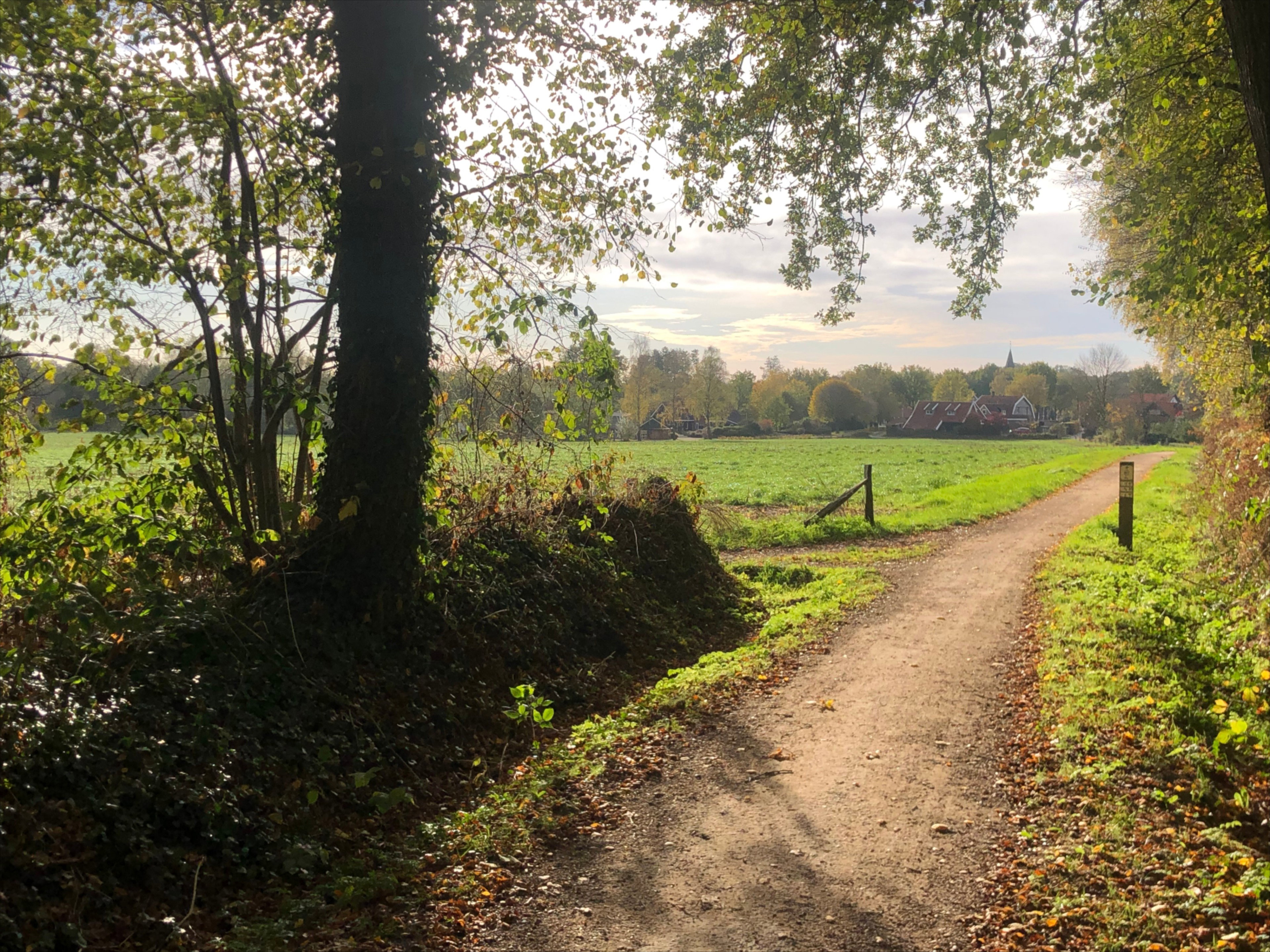 Naturhäuschen in de Lutte