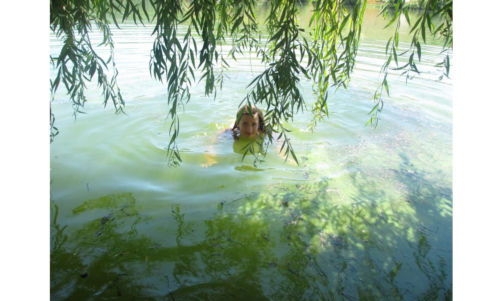 Naturhäuschen in Amarante