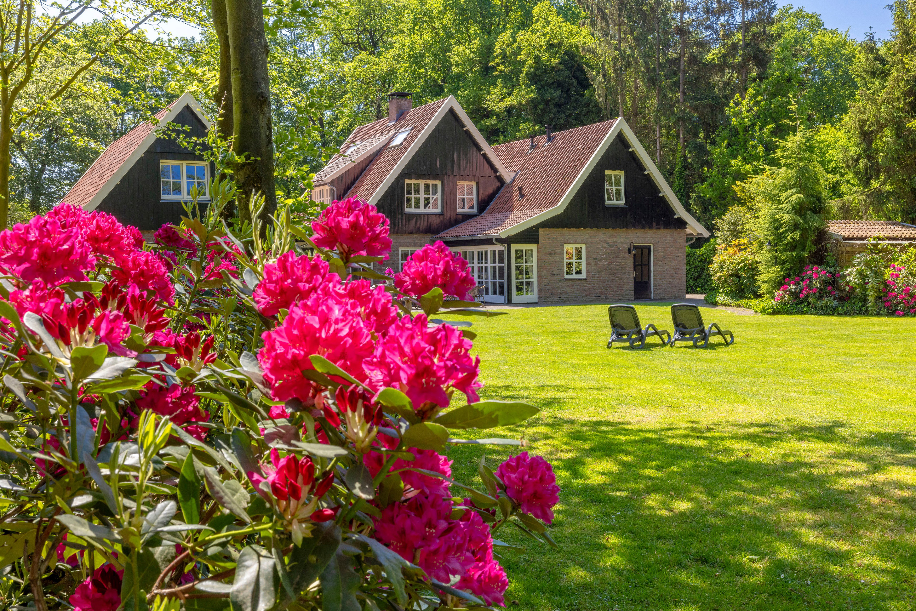 Natuurhuisje in Losser