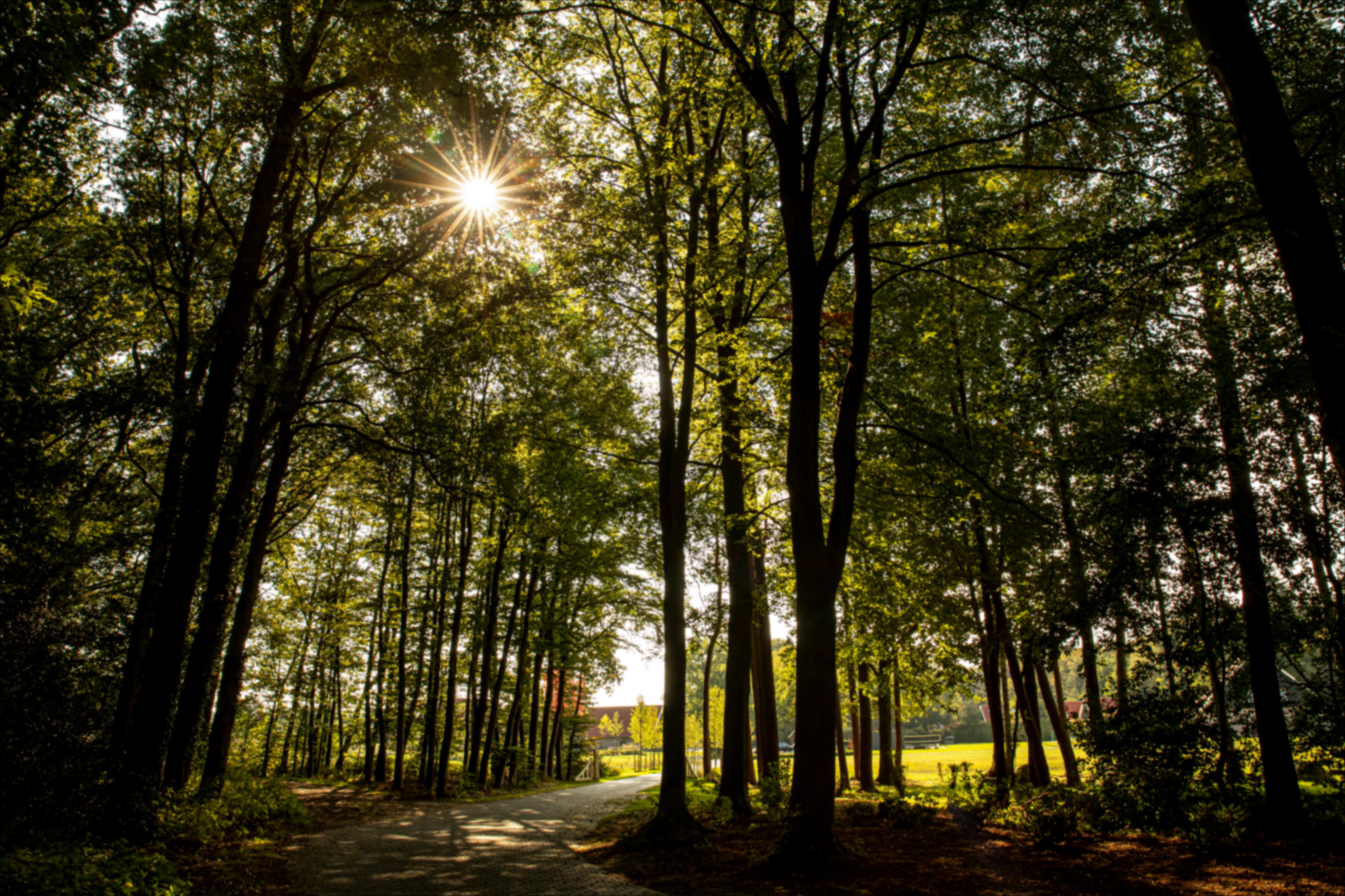 Natuurhuisje in Losser