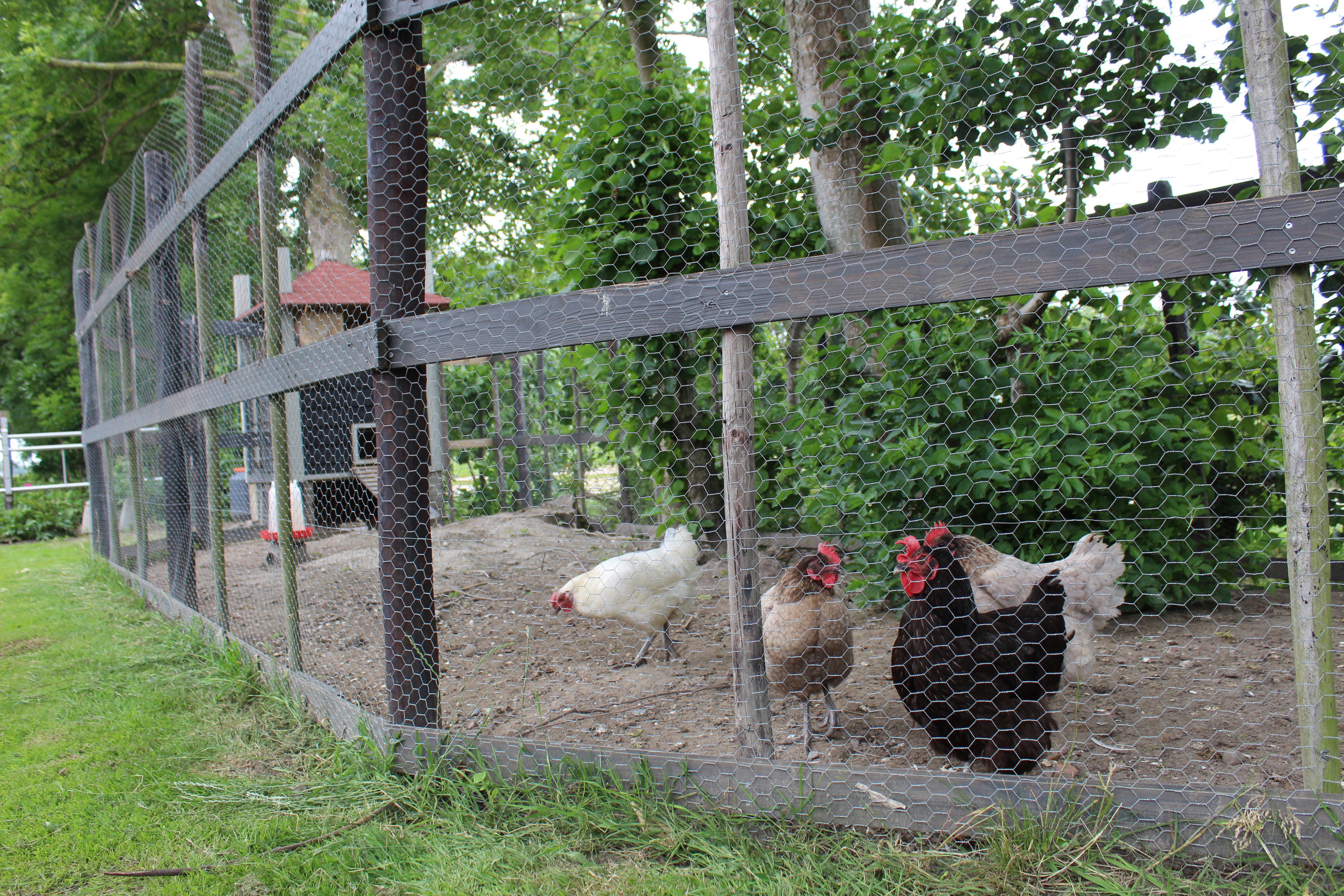 Naturhäuschen in Slootdorp