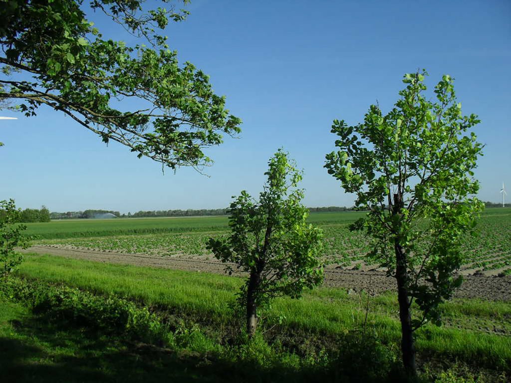 Naturhäuschen in Slootdorp