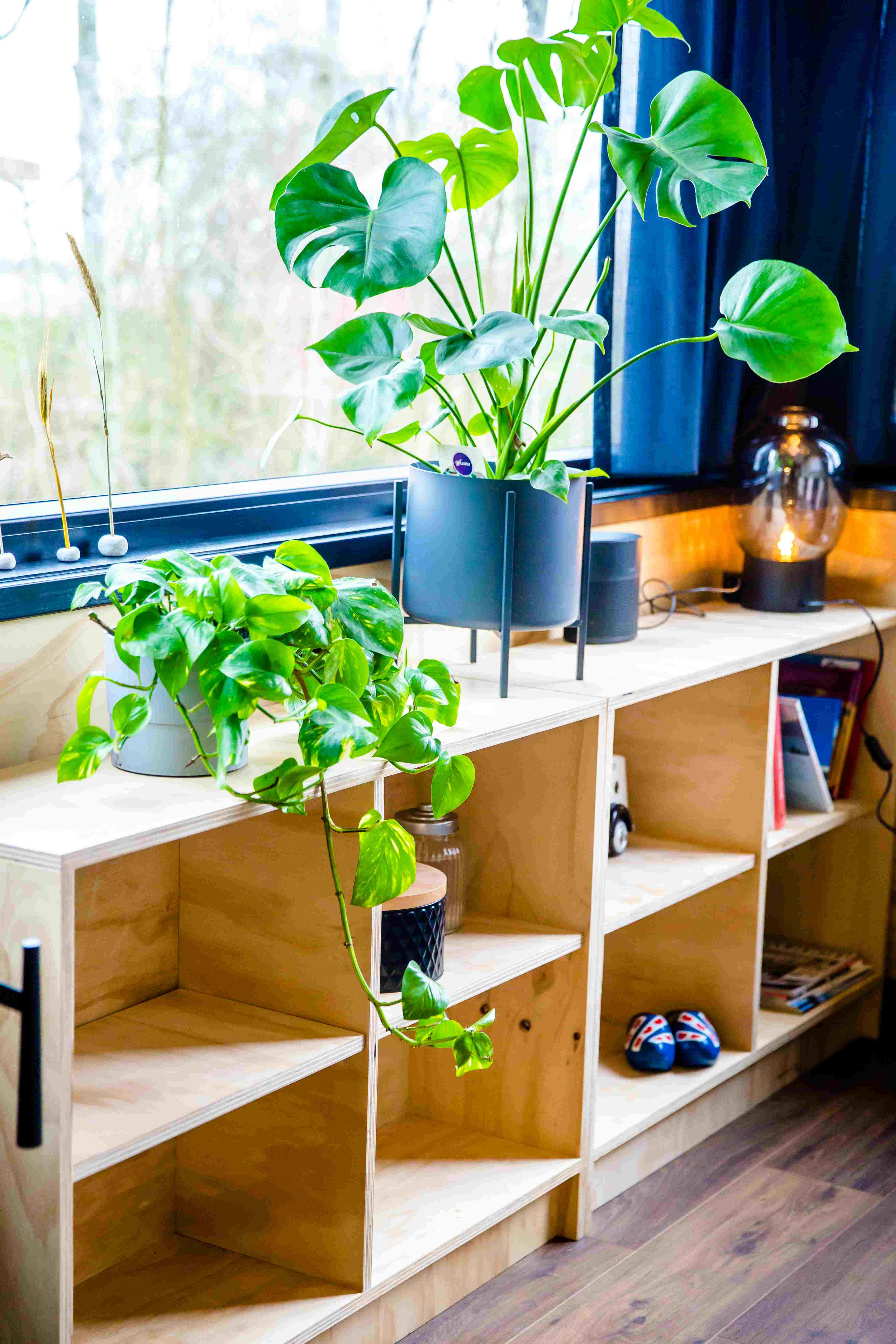 Maison nature à Nes (gem. Heerenveen)