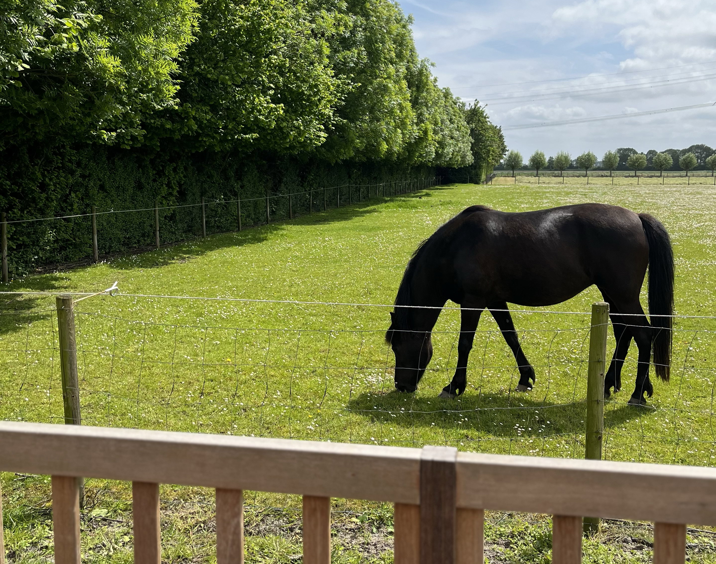 Naturhäuschen in Kwadendamme