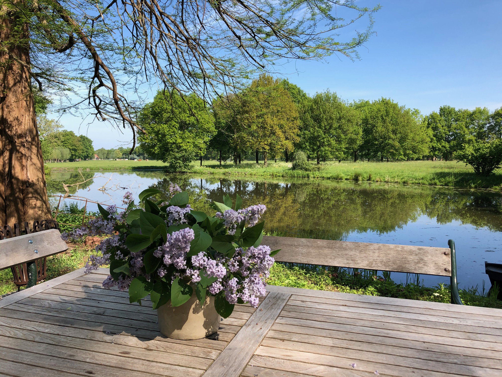 - image: 3