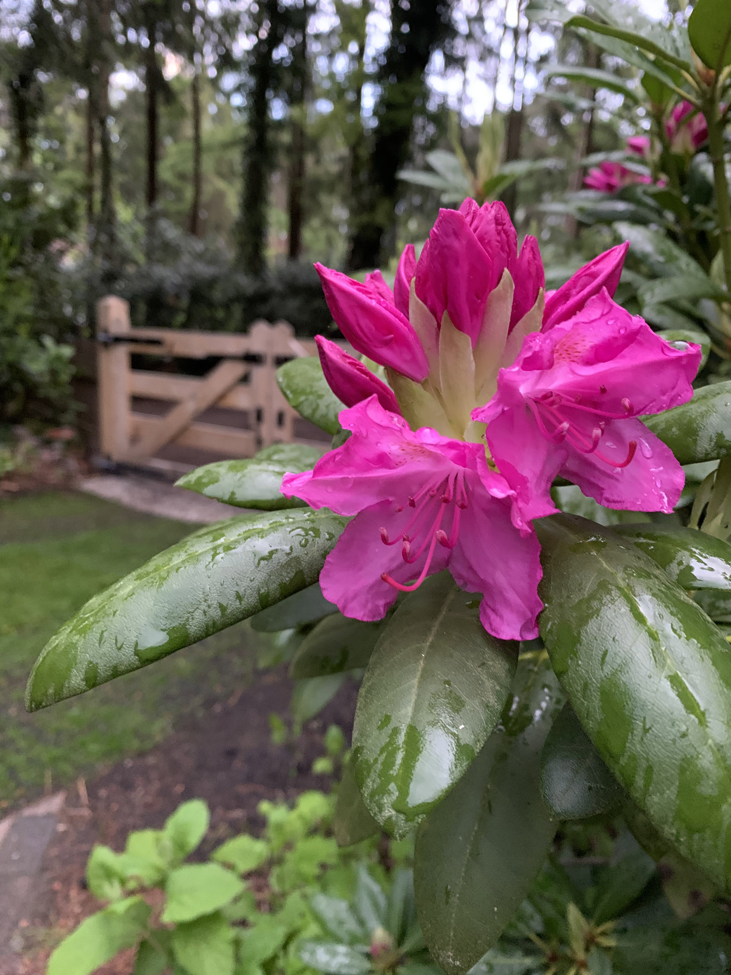 Natuurhuisje in Norg