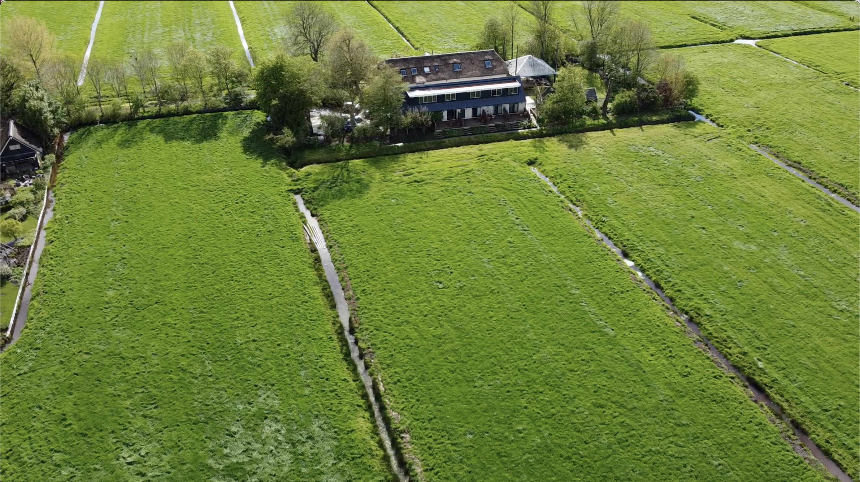 Naturhäuschen in Waverveen