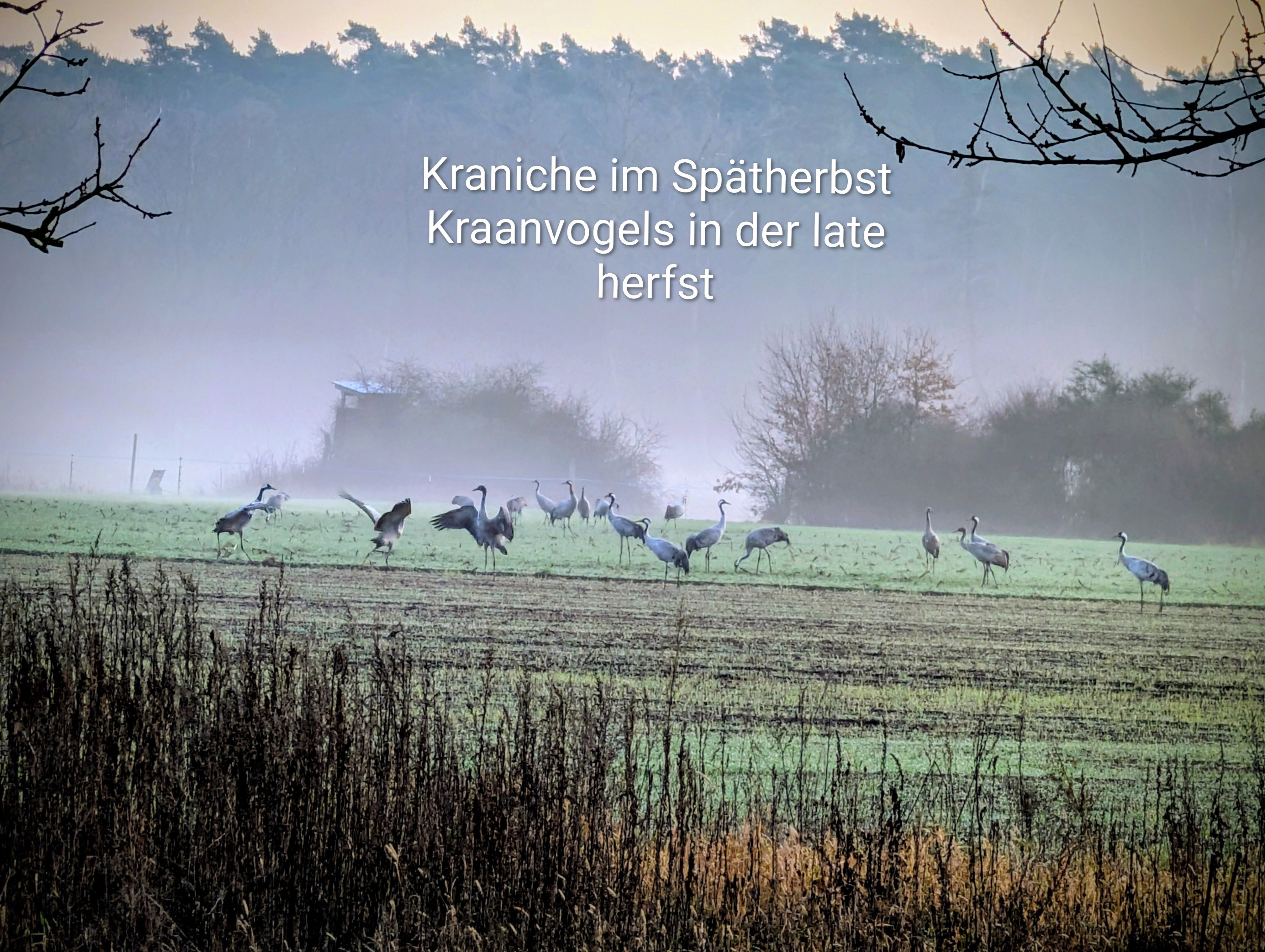 - image: 59