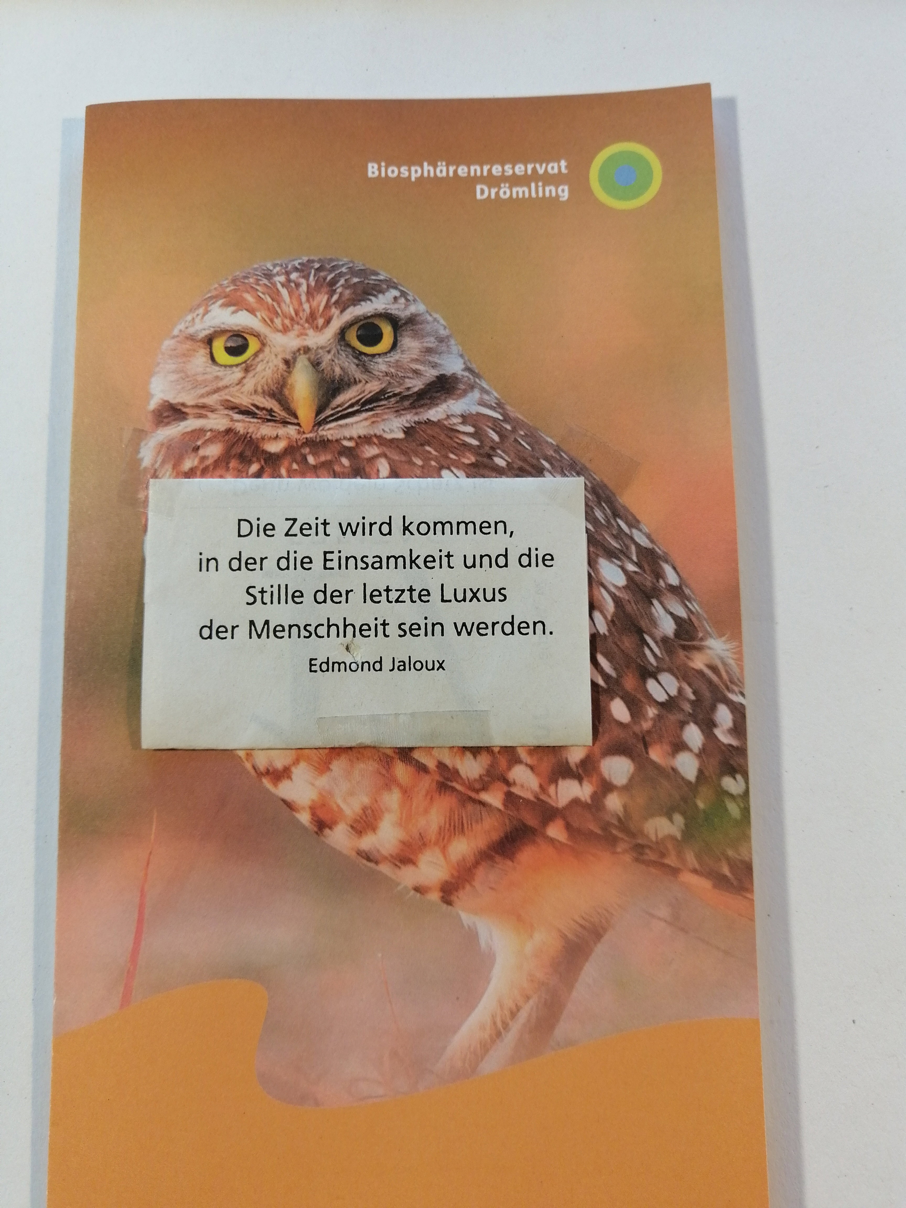 - image: 41