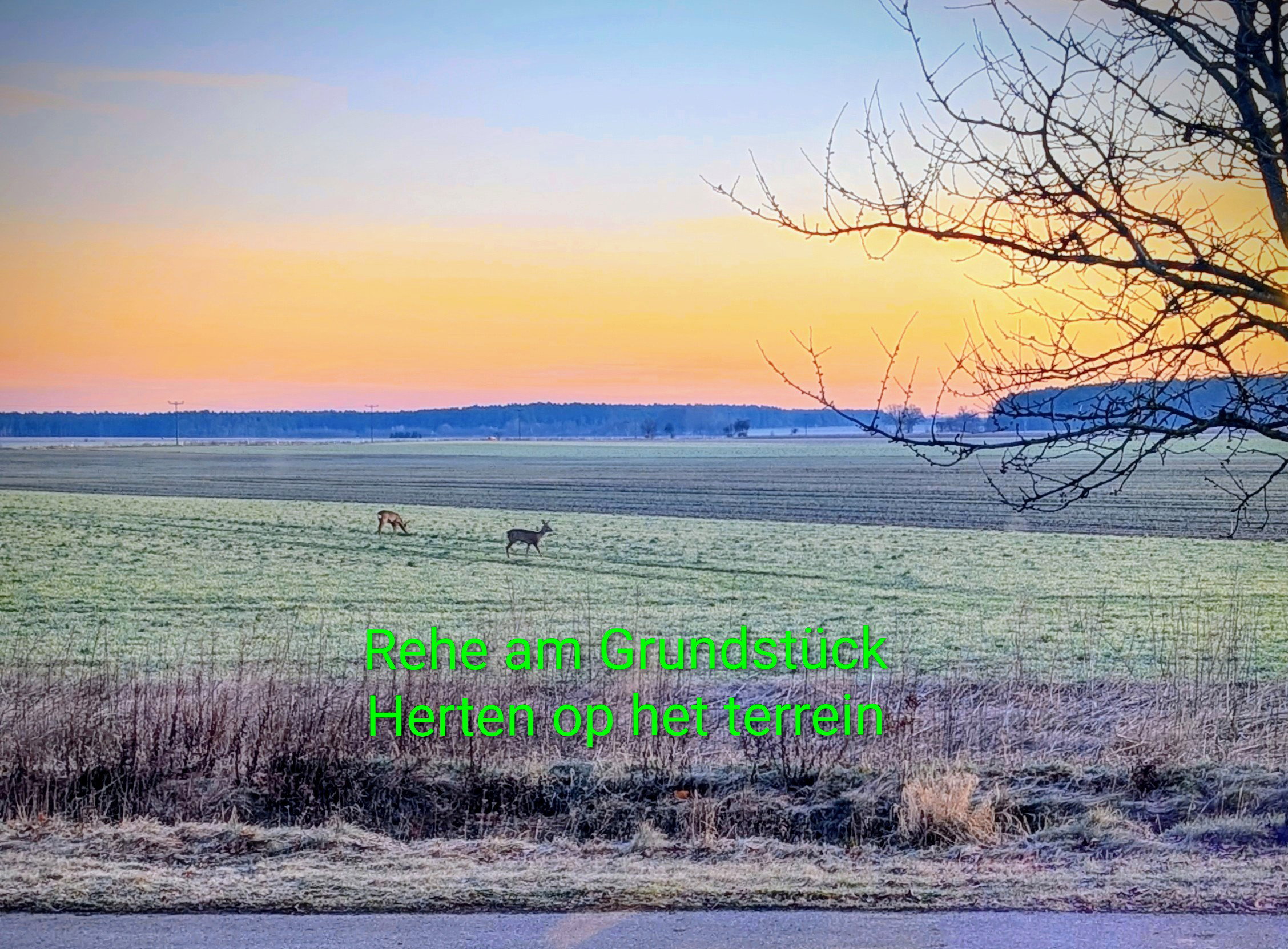 - image: 28