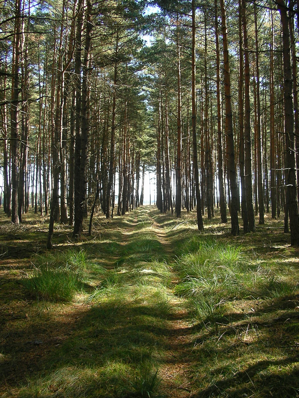 - image: 44