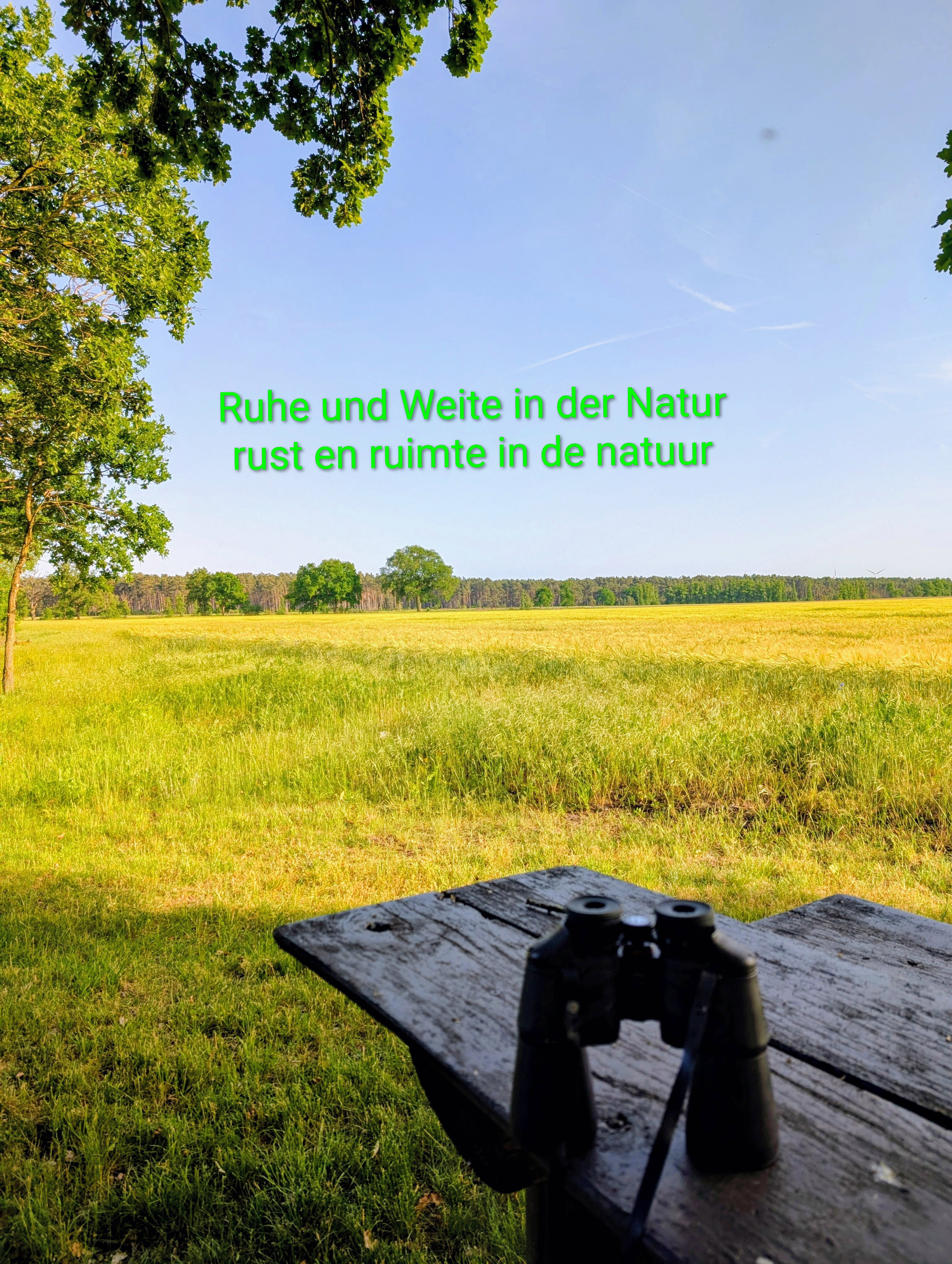 - image: 58