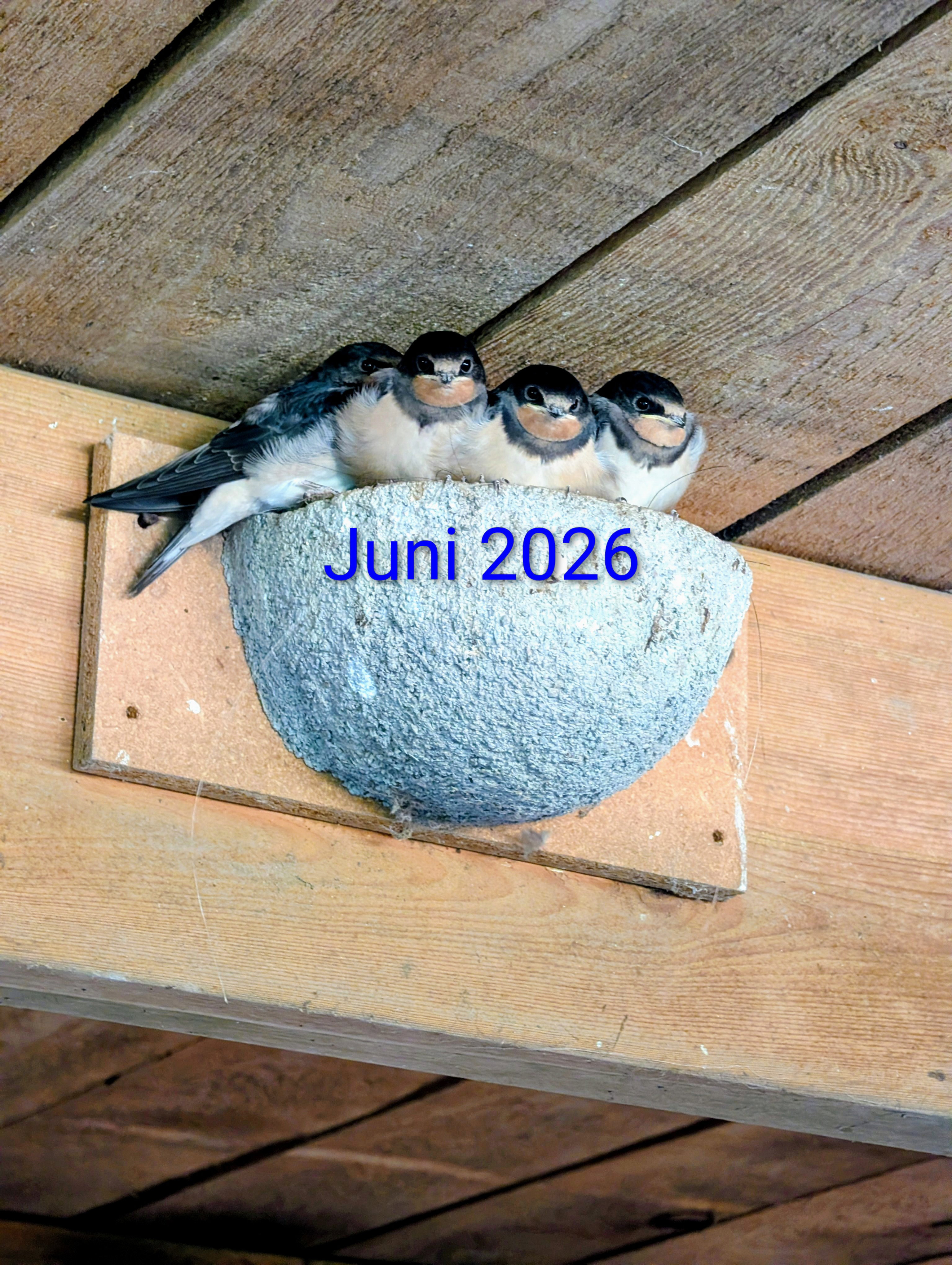 - image: 56