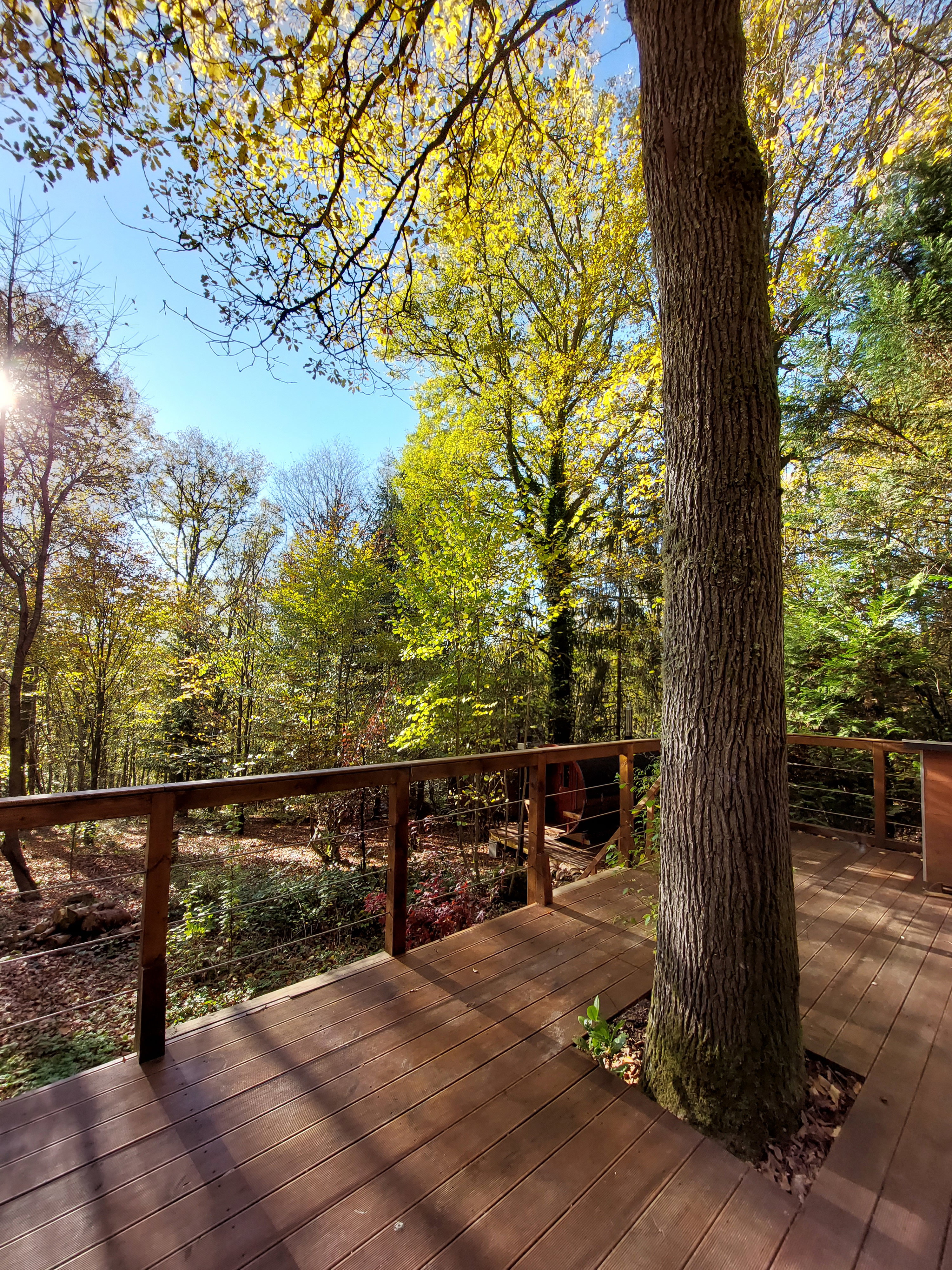 Maison nature à Oignies-en-Thiérache