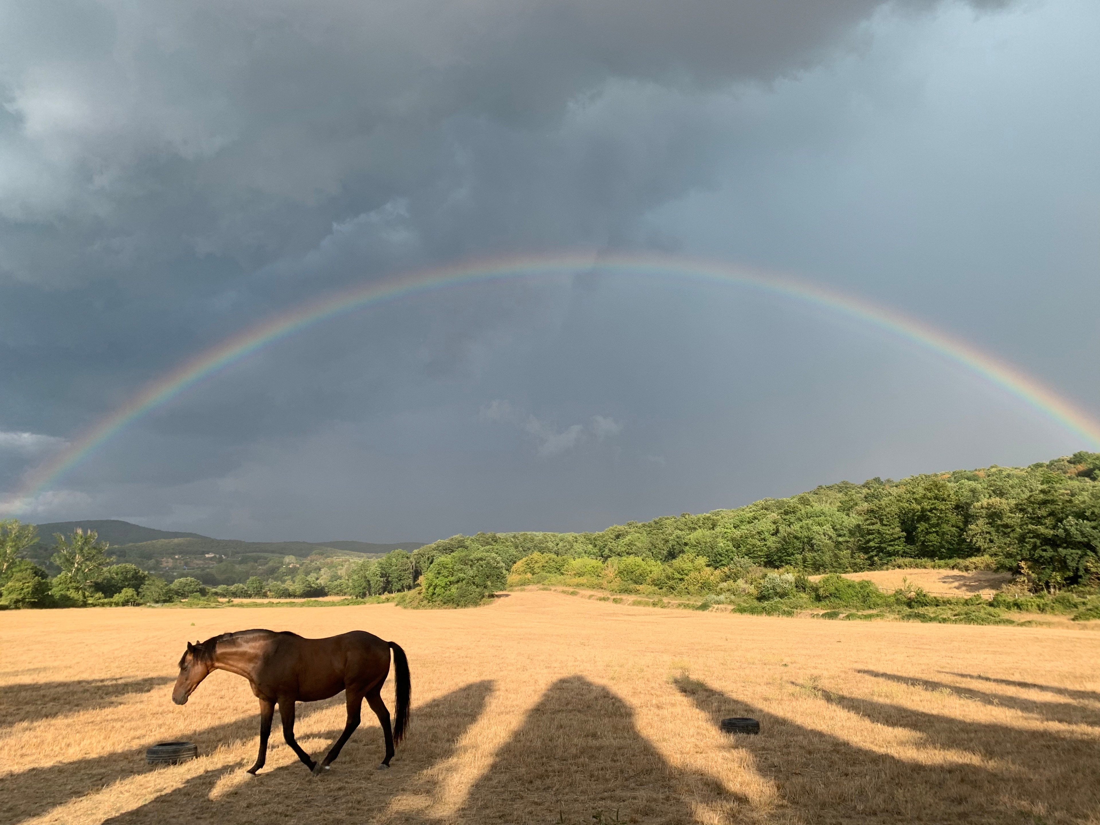 Natuurhuisje in Rapolano Terme
