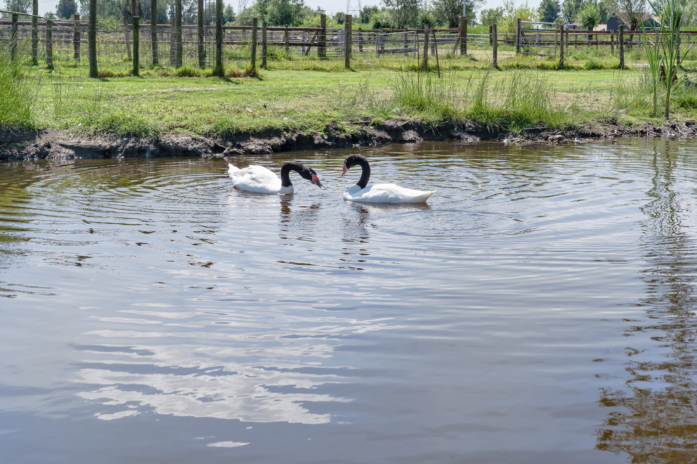 Naturhäuschen in Markenbinnen