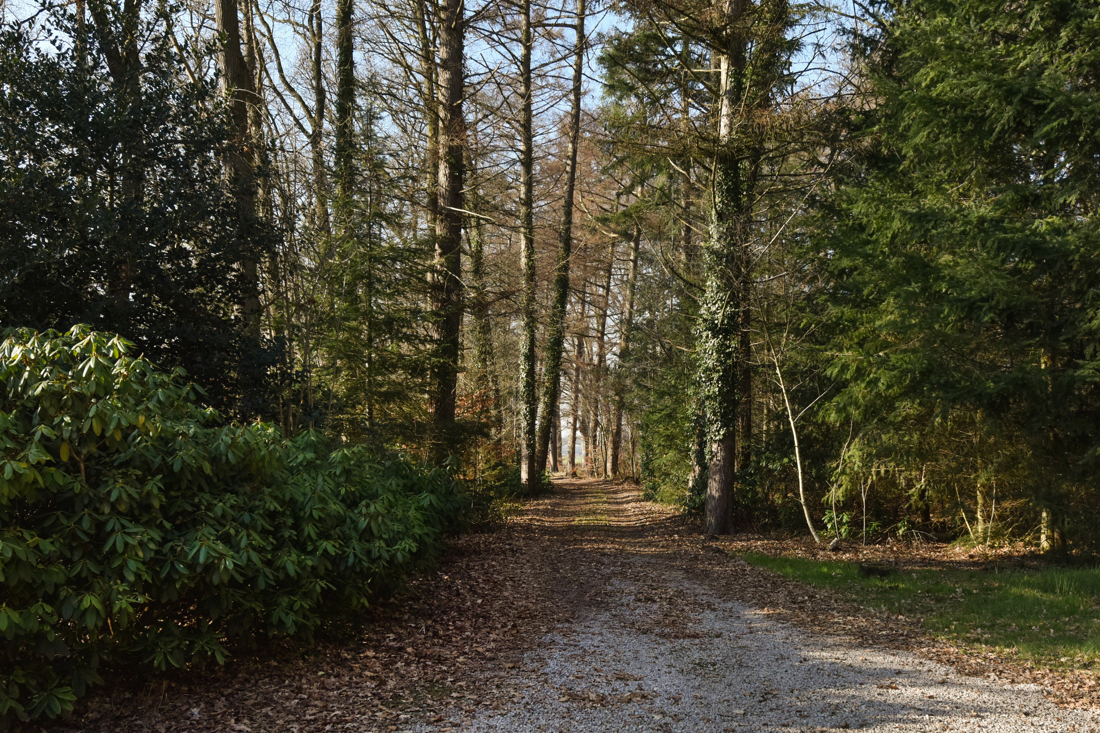Naturhäuschen in Wesepe