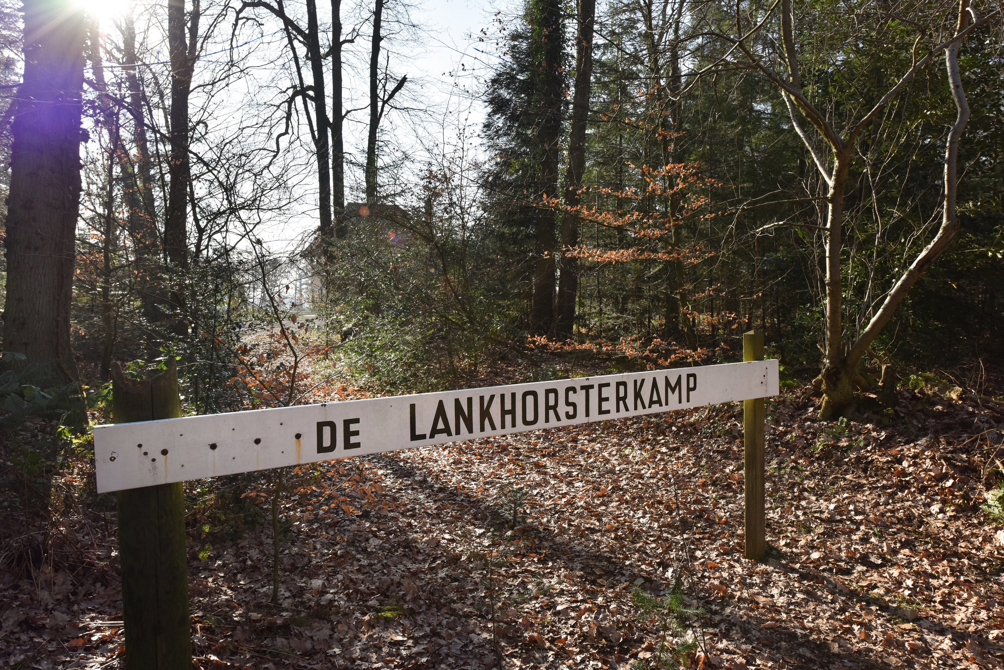 Naturhäuschen in Wesepe