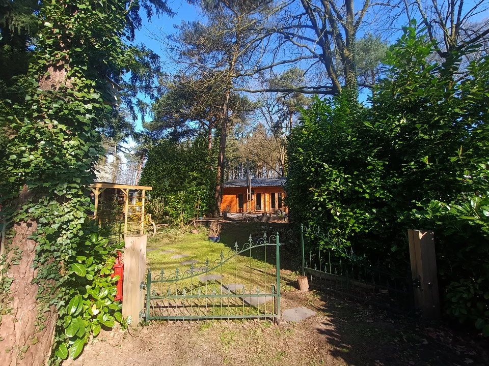 - image: 24